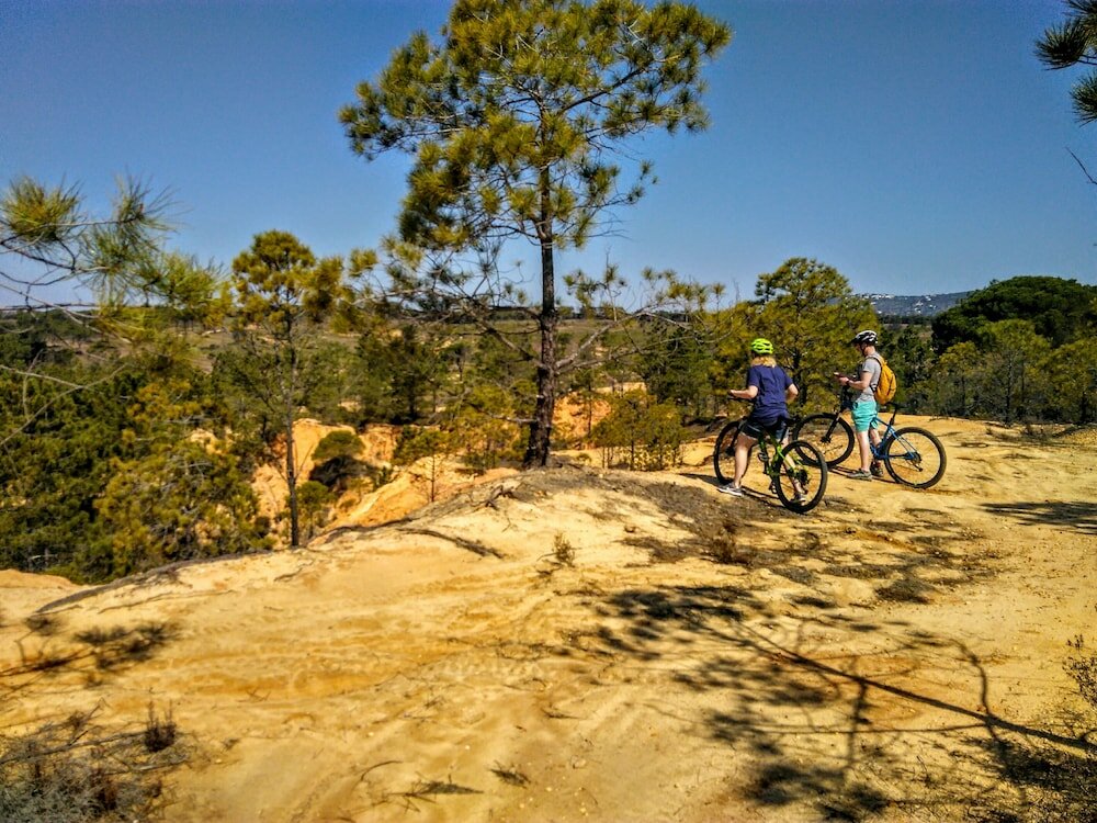 Фото Hostellicious