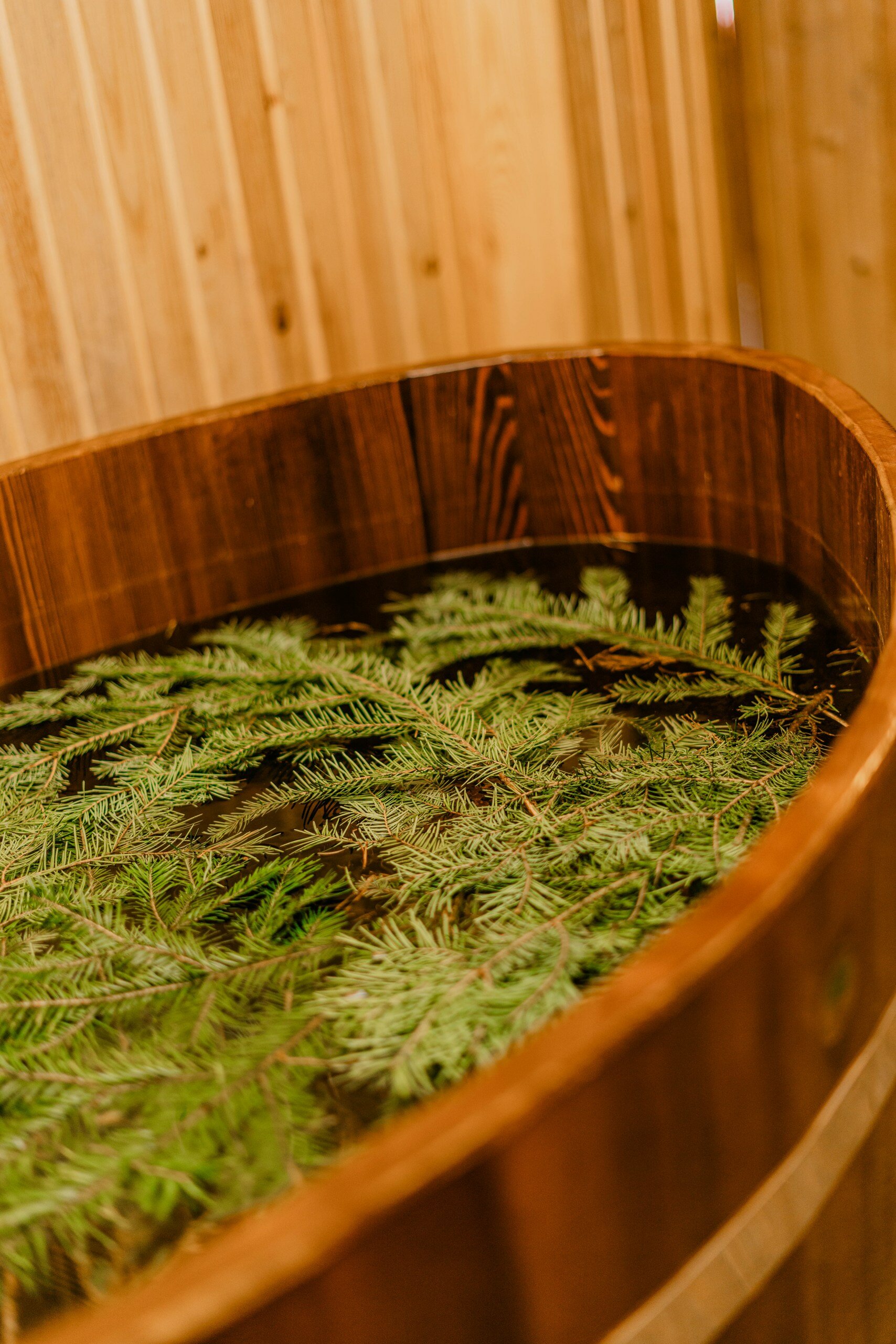 Фото У Пруда