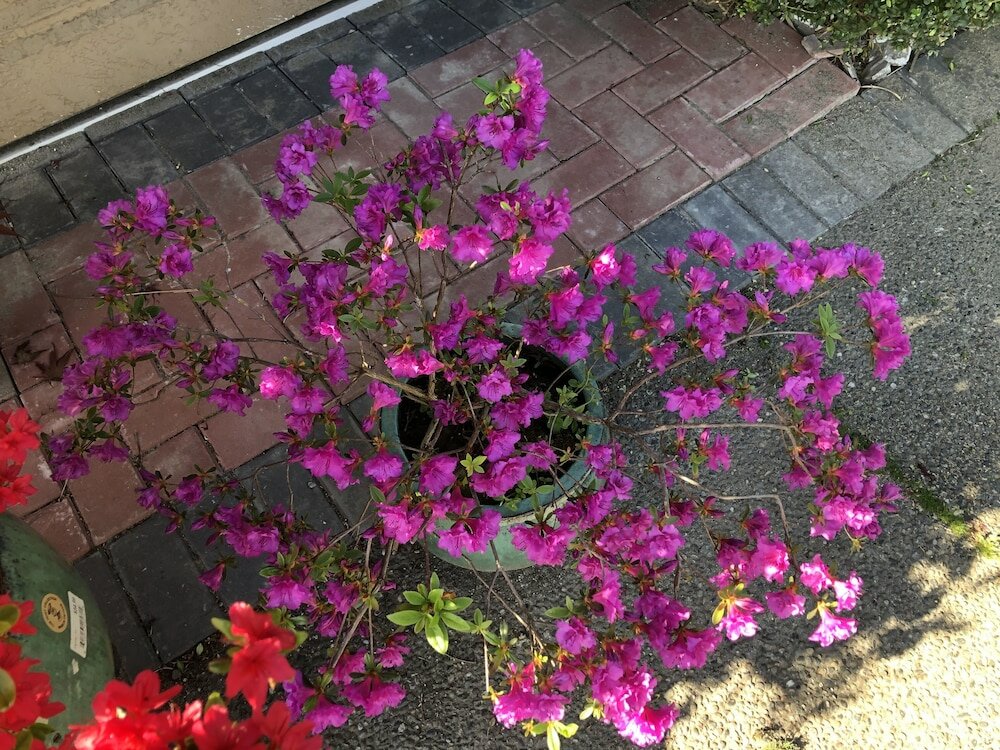 Фото Charming Family Hotel