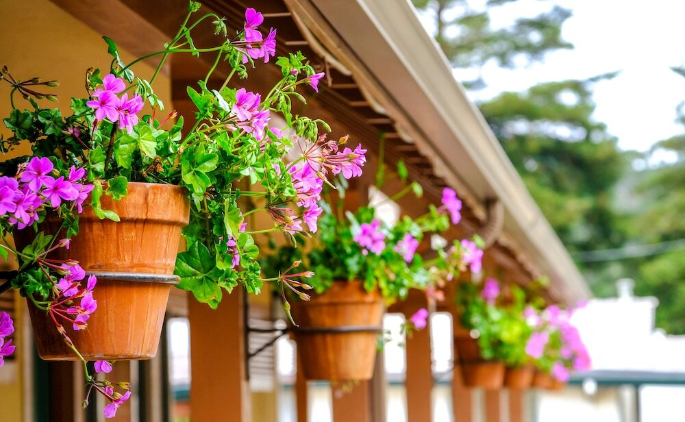 Фото Candle Light Inn