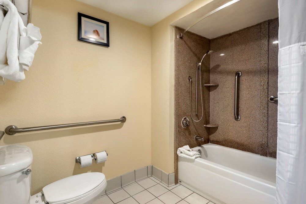 Фото Comfort Inn Kissimmee-Lake Buena Vista South