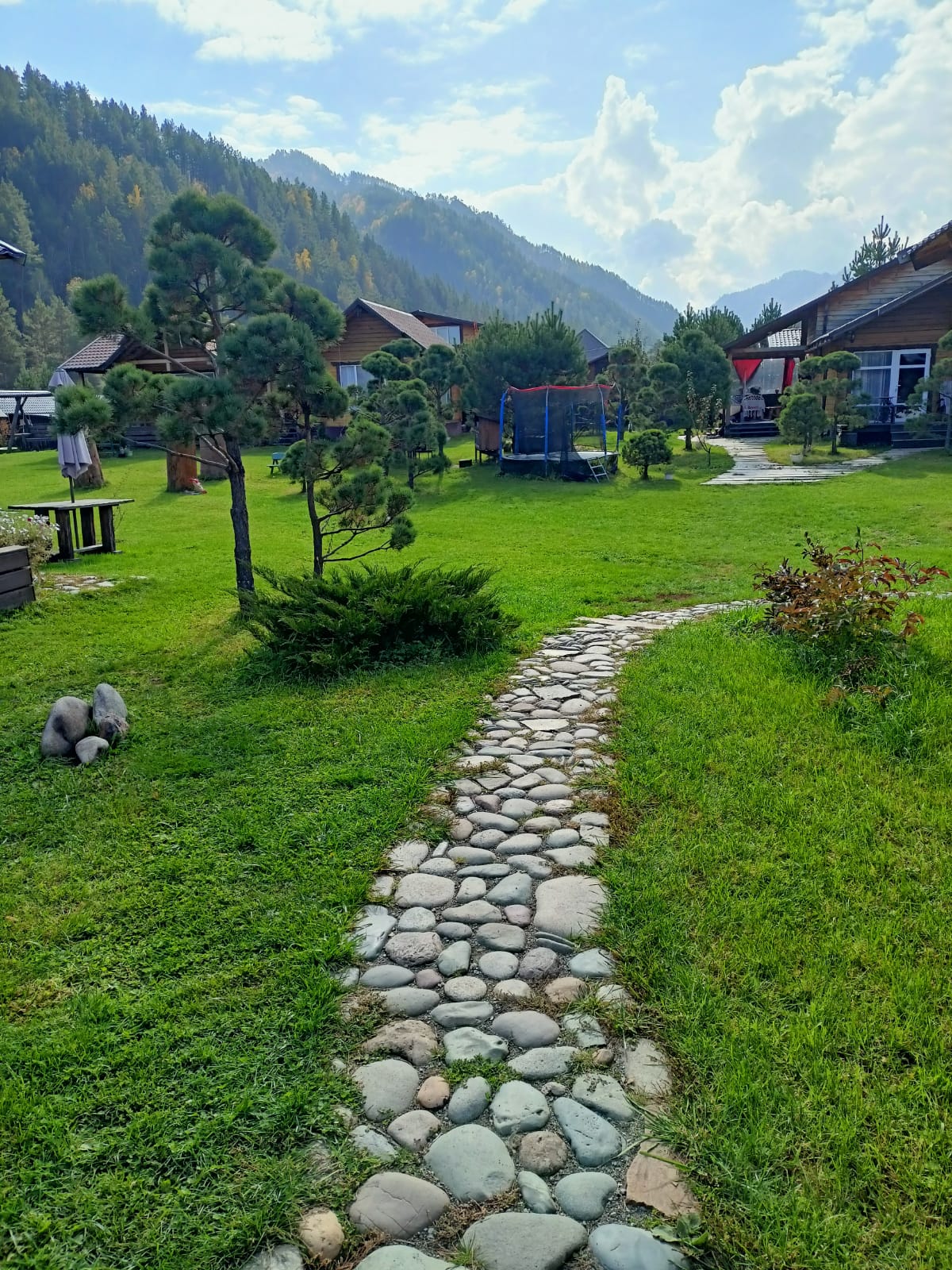 Фото Баюта Алтай