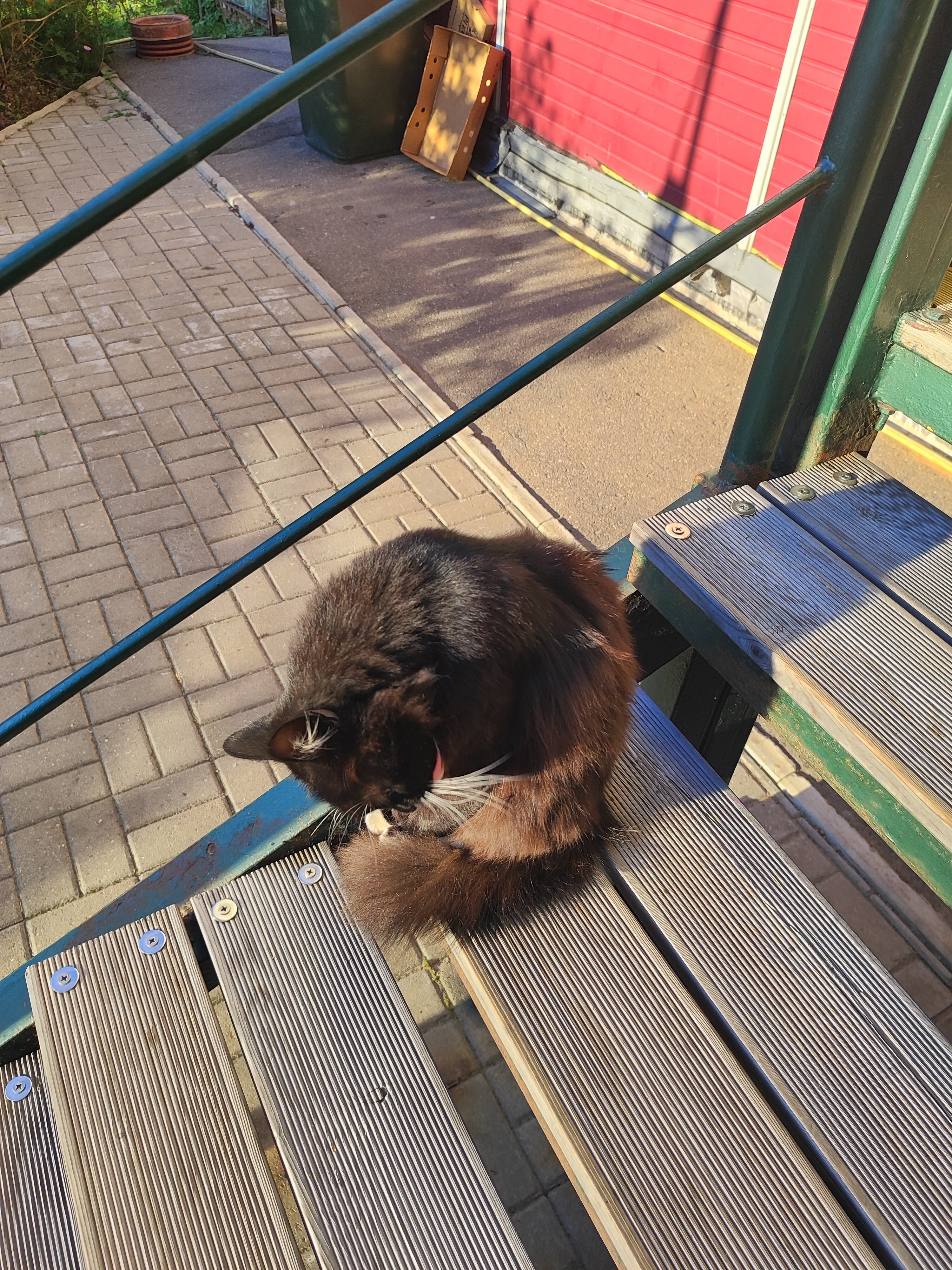 Фото Вырубово