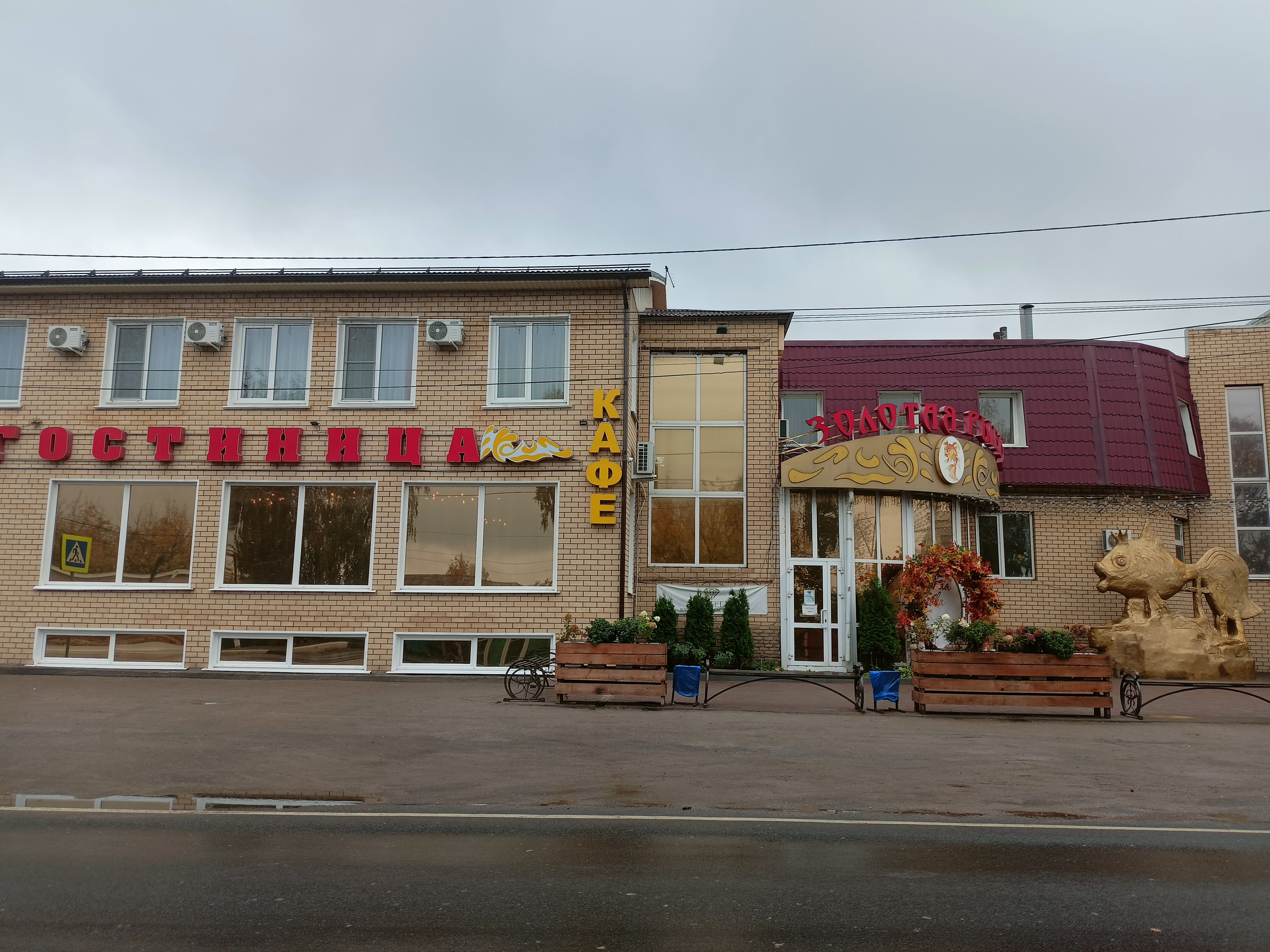 Фото Золотая рыбка