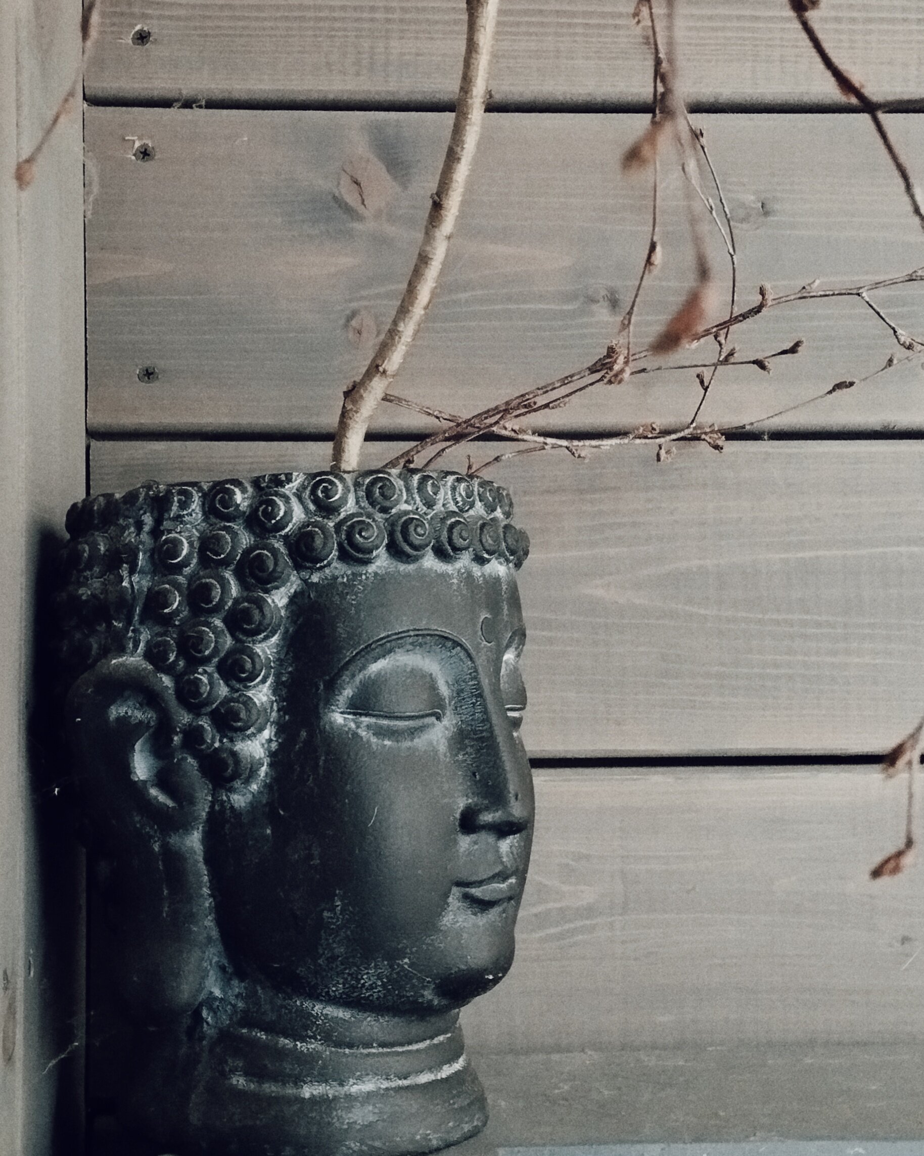 Фото Дом в заповеднике