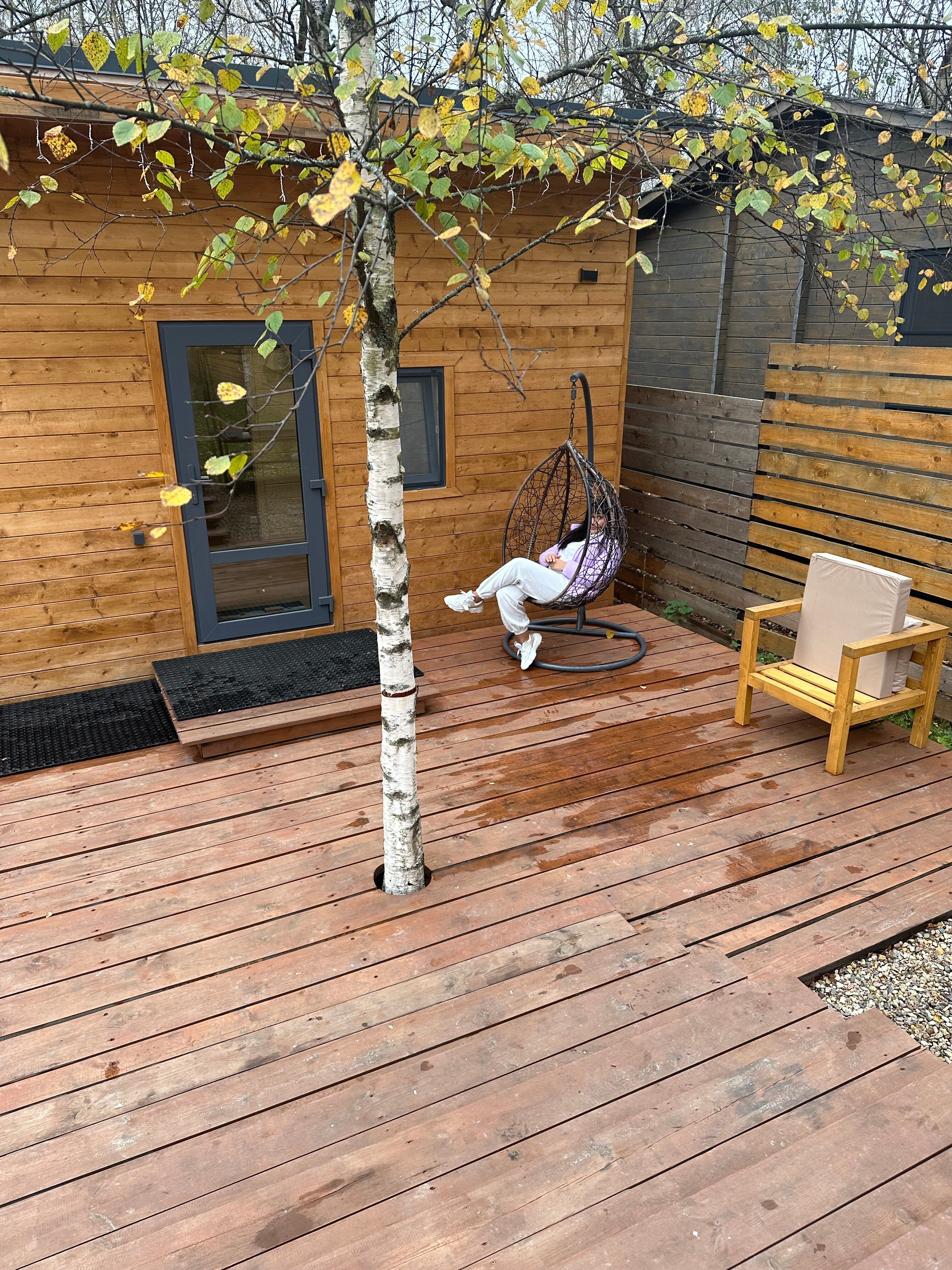 Фото My little forest