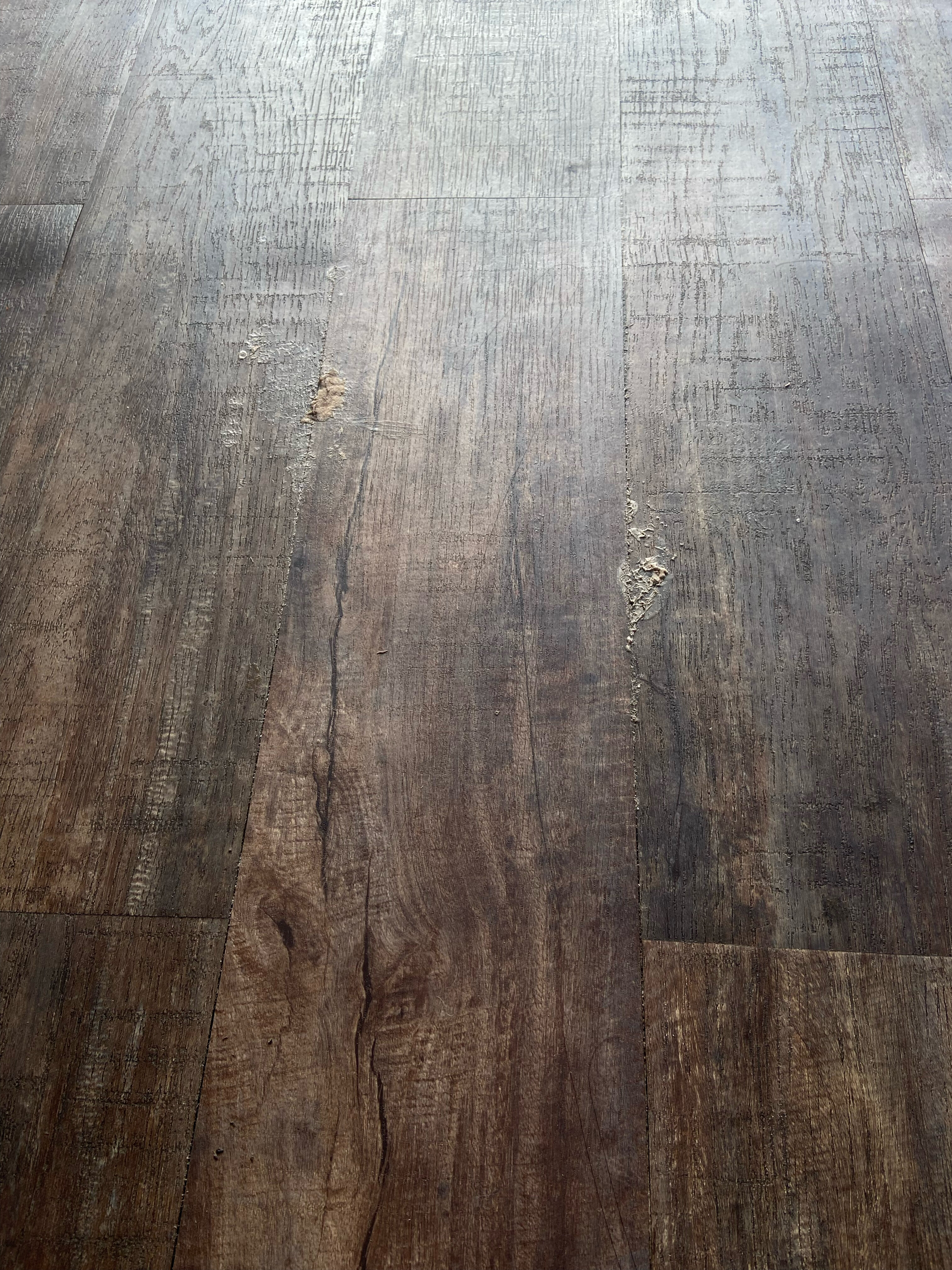 Фото Ривьера