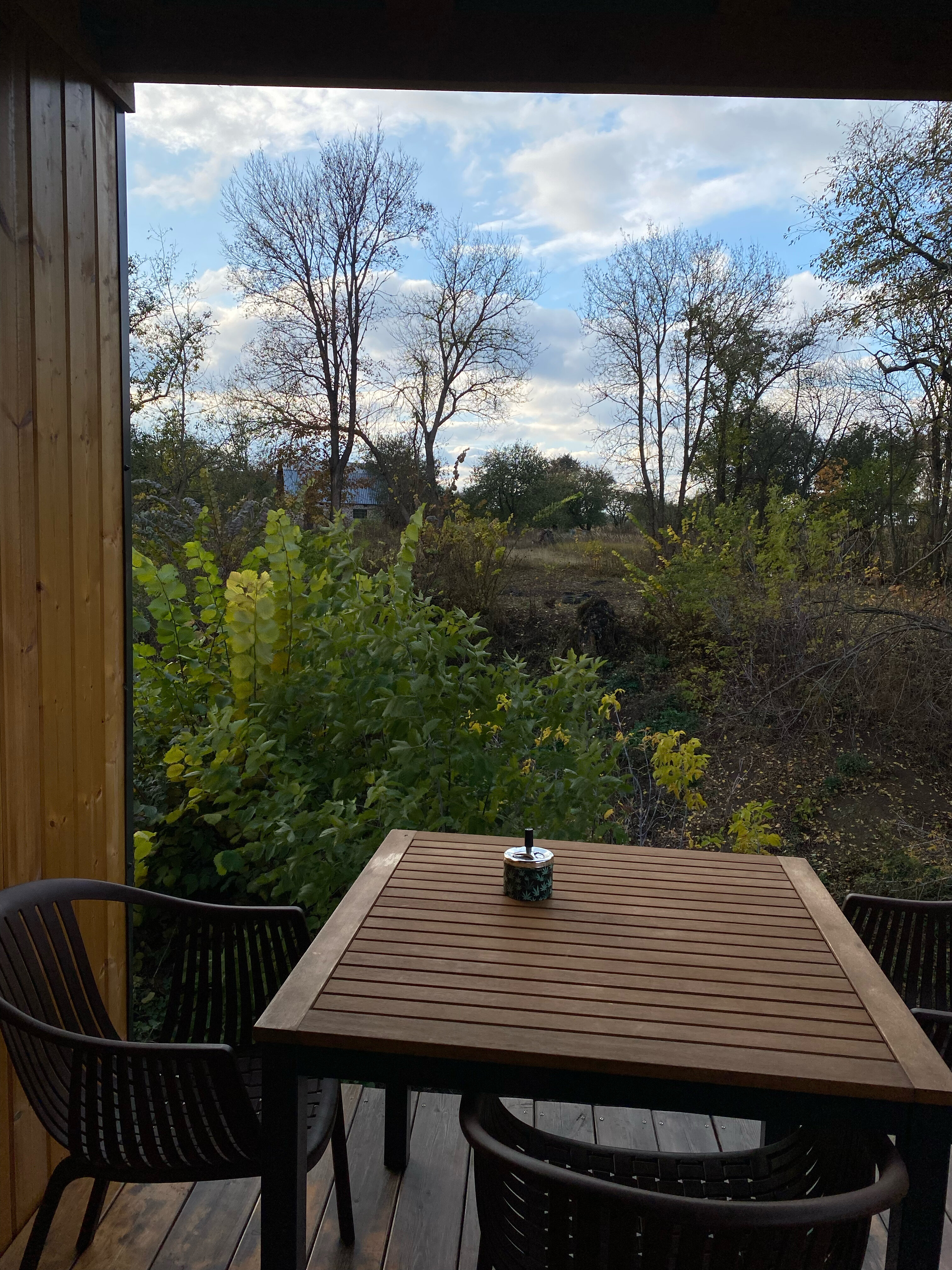 Фото Горыныч Хаус