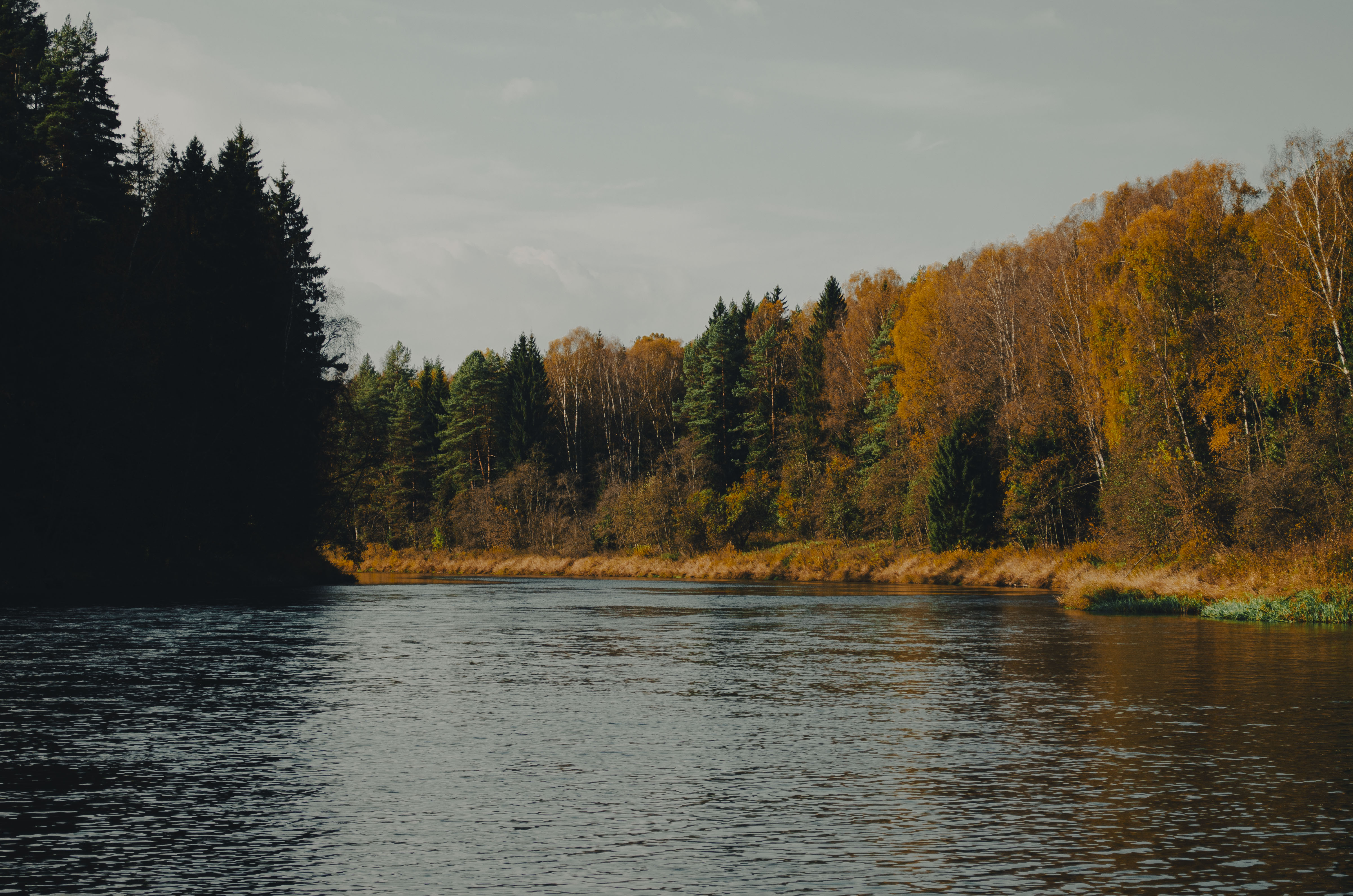Фото Каменецкие Купели