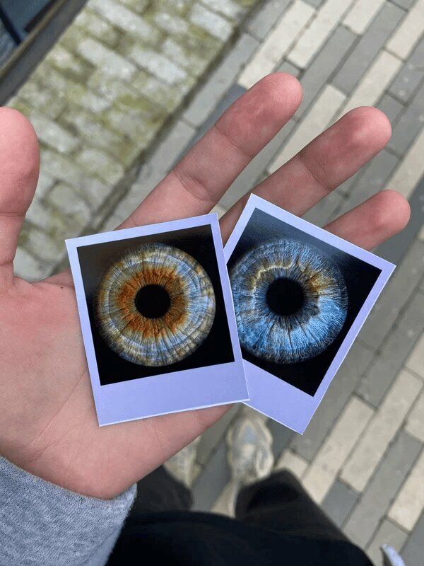 Photography Айрис, Blagoveshchensk, photo