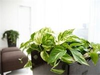 Фото Hotel Resol Trinity Sapporo