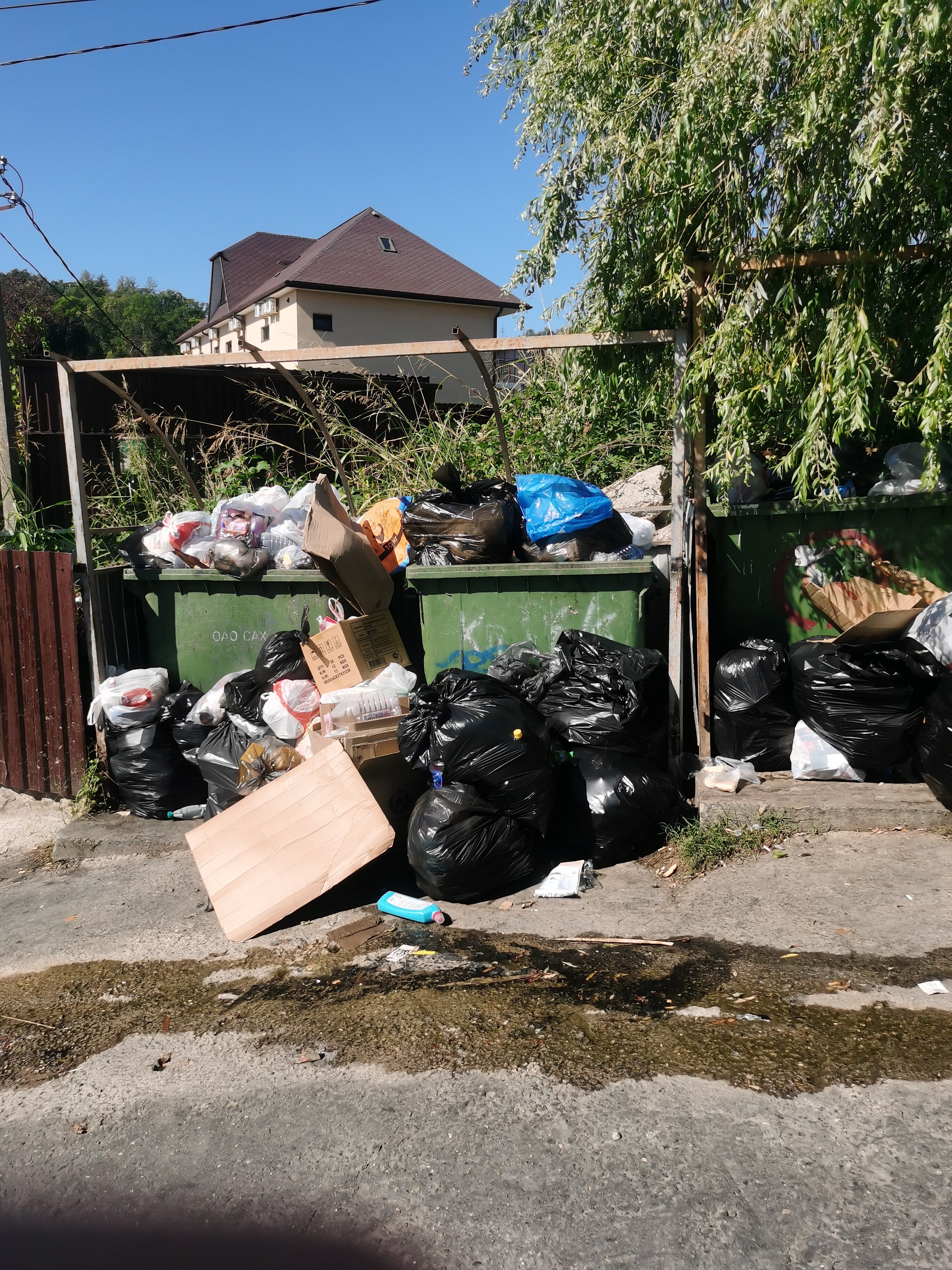 Фото Madisson RoDina