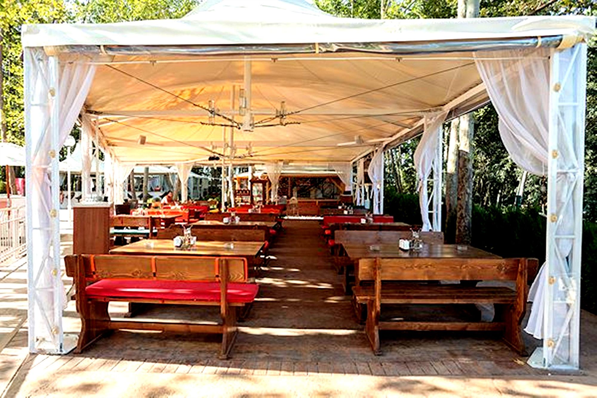 Фото Тарсис