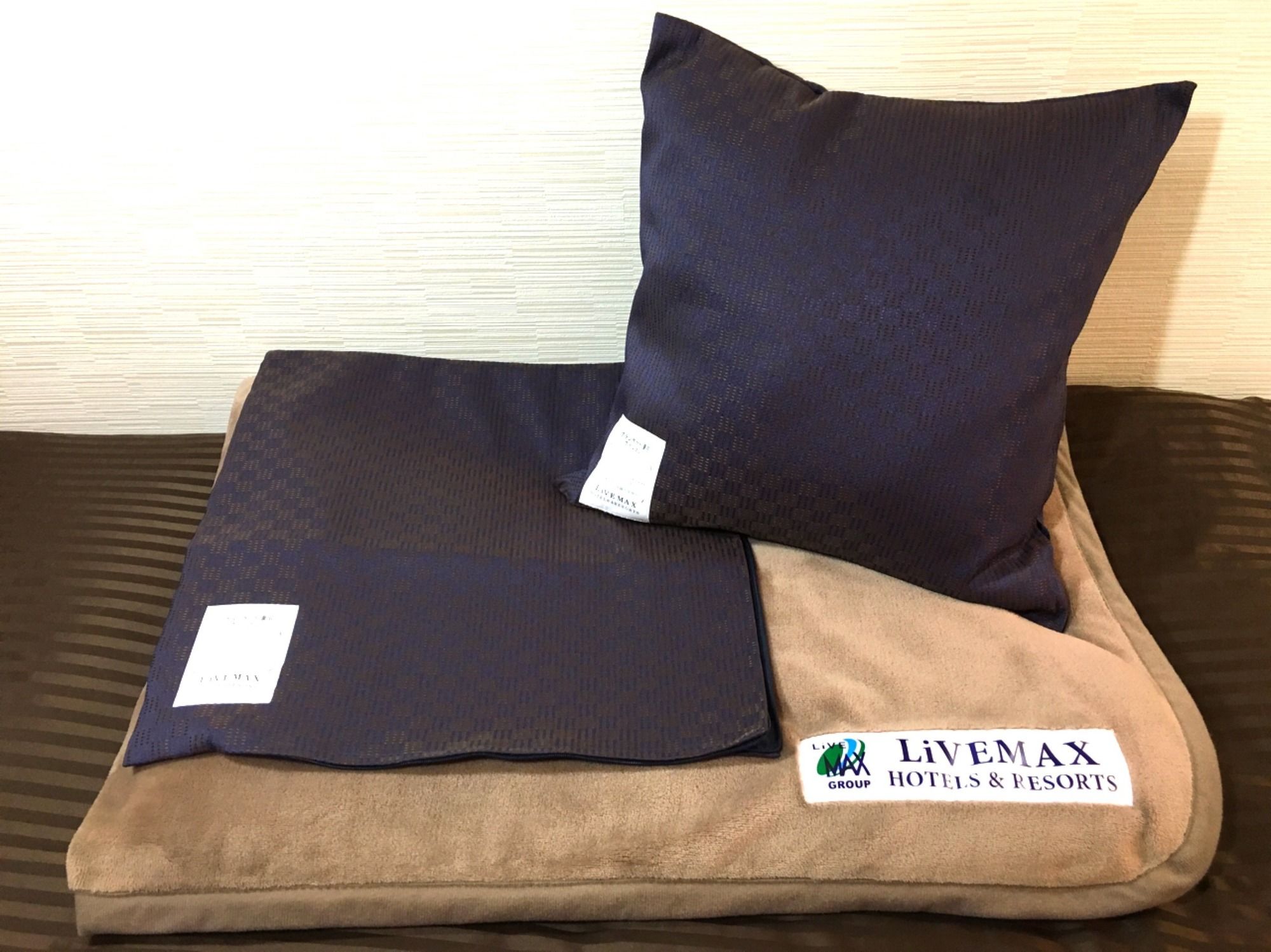 Фото Hotel LiVEMAX Esaka