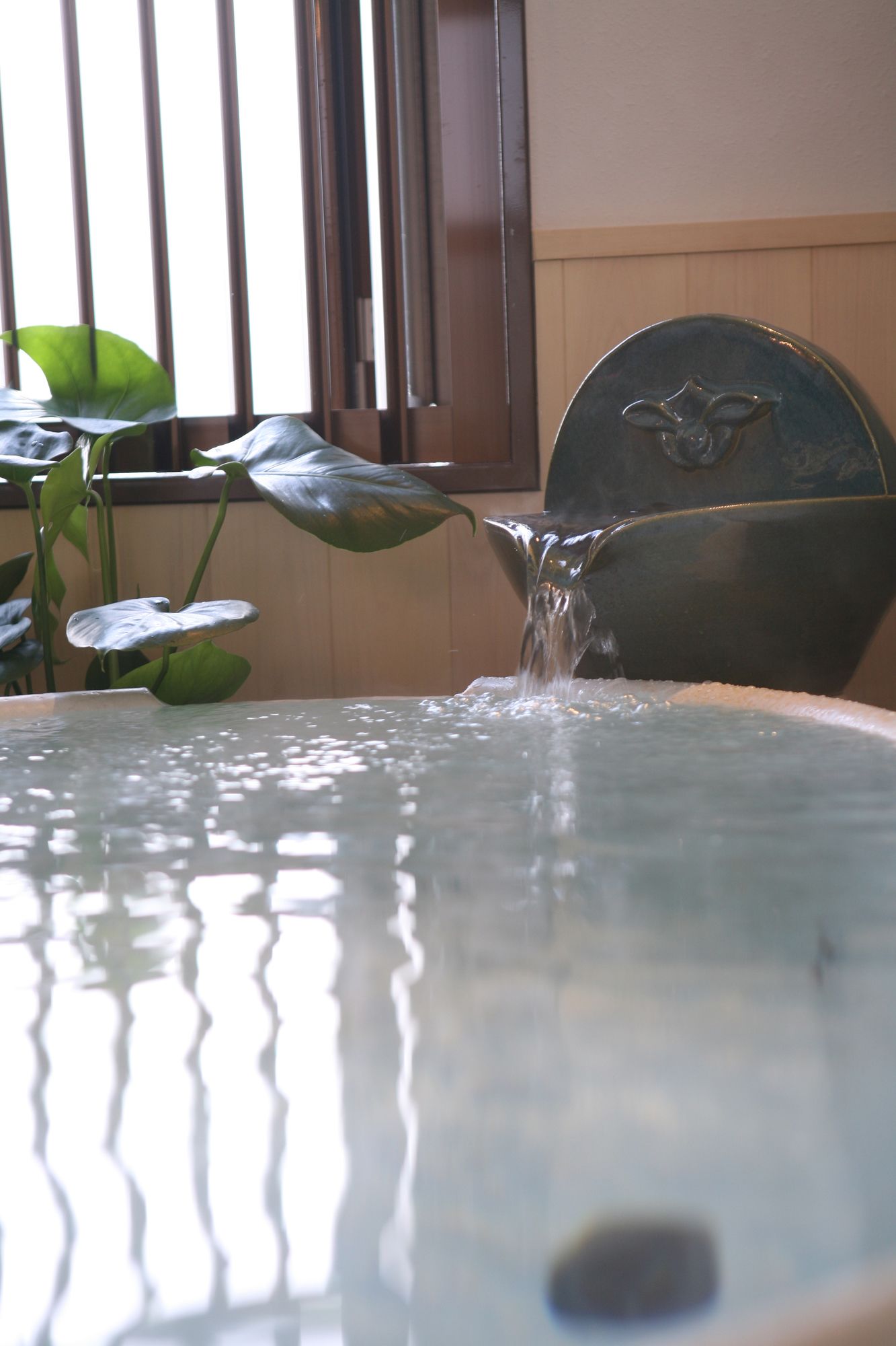 Фото Takayama Green Hotel