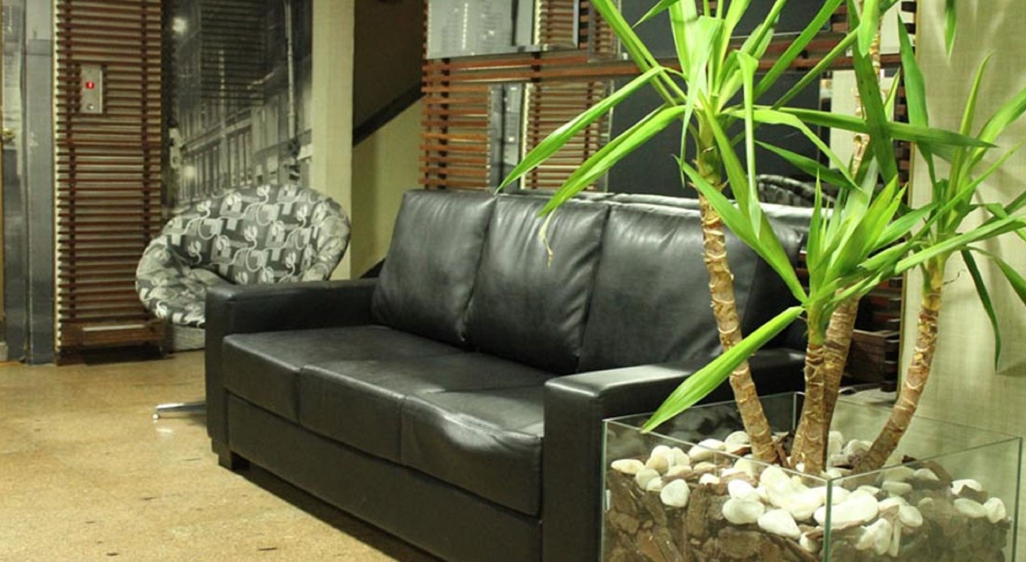 Фото Hotel Caravelas