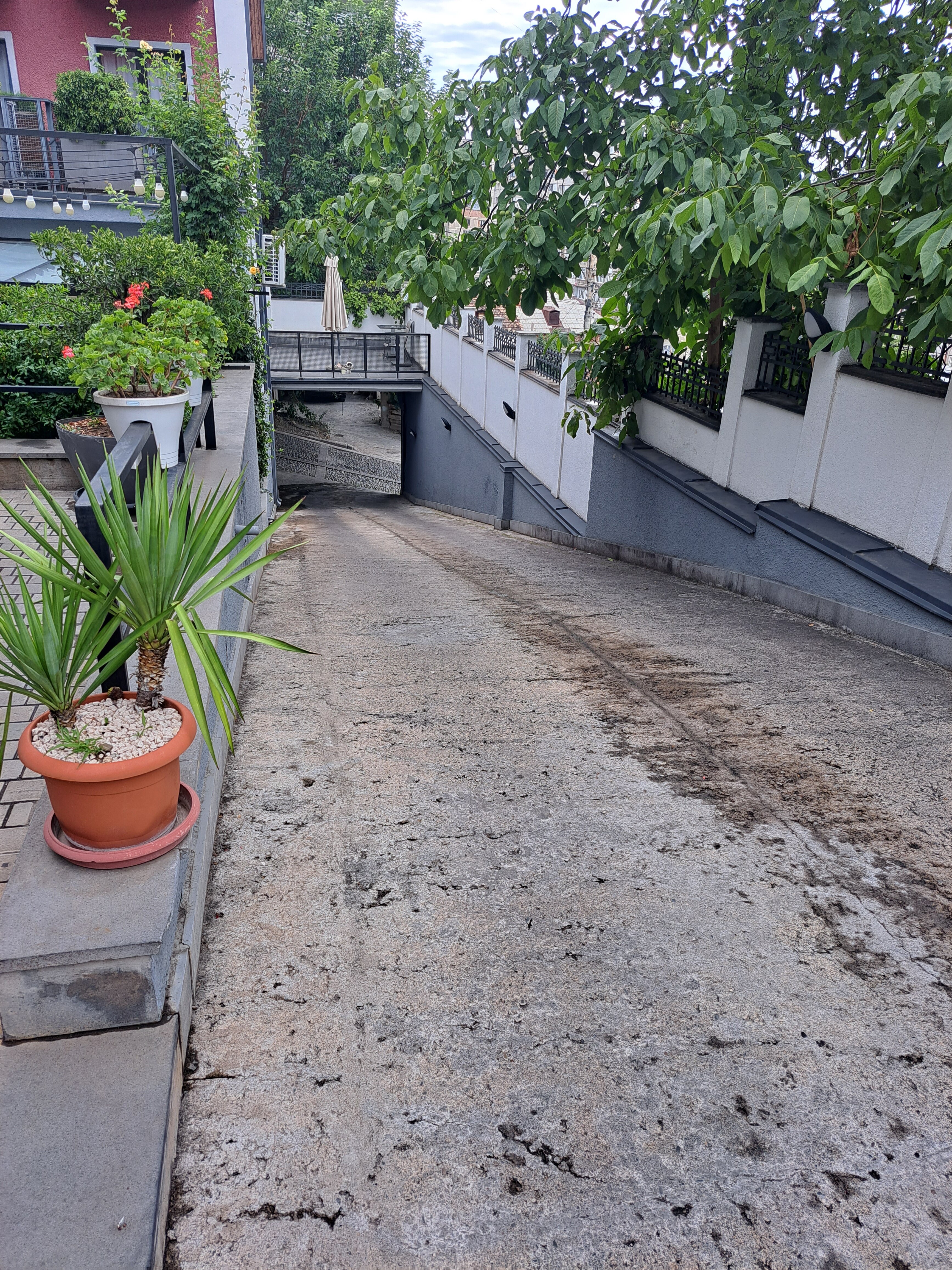 Фото Alliance Hotel