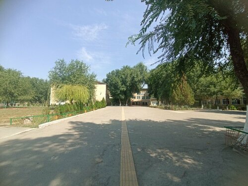 Аудармалары бар транспорно қараңыз