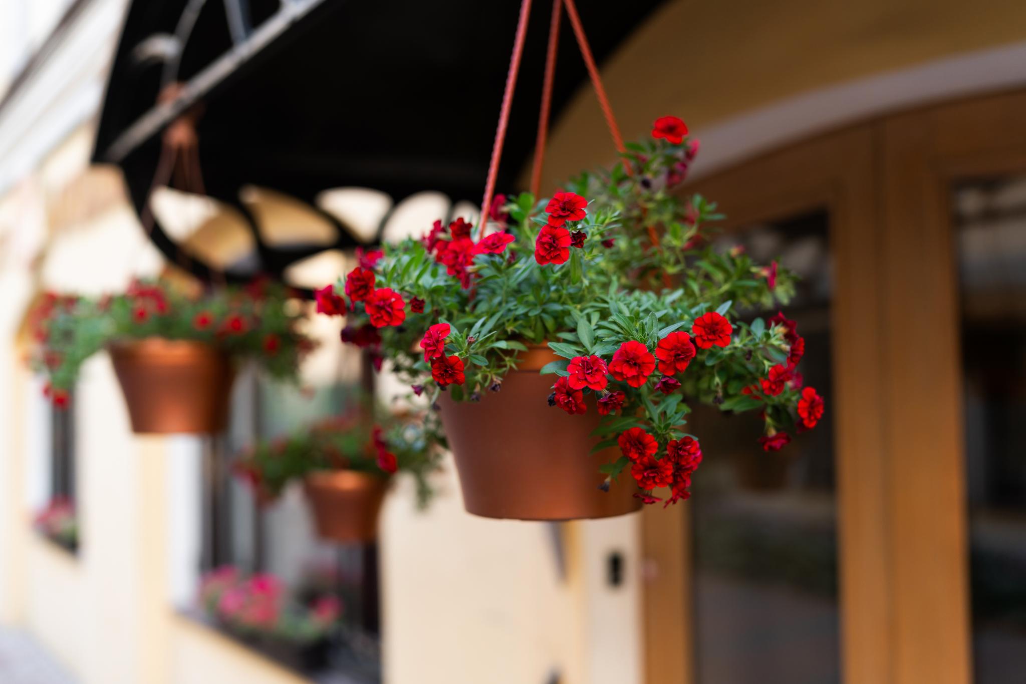 Фото Отель Невский 74