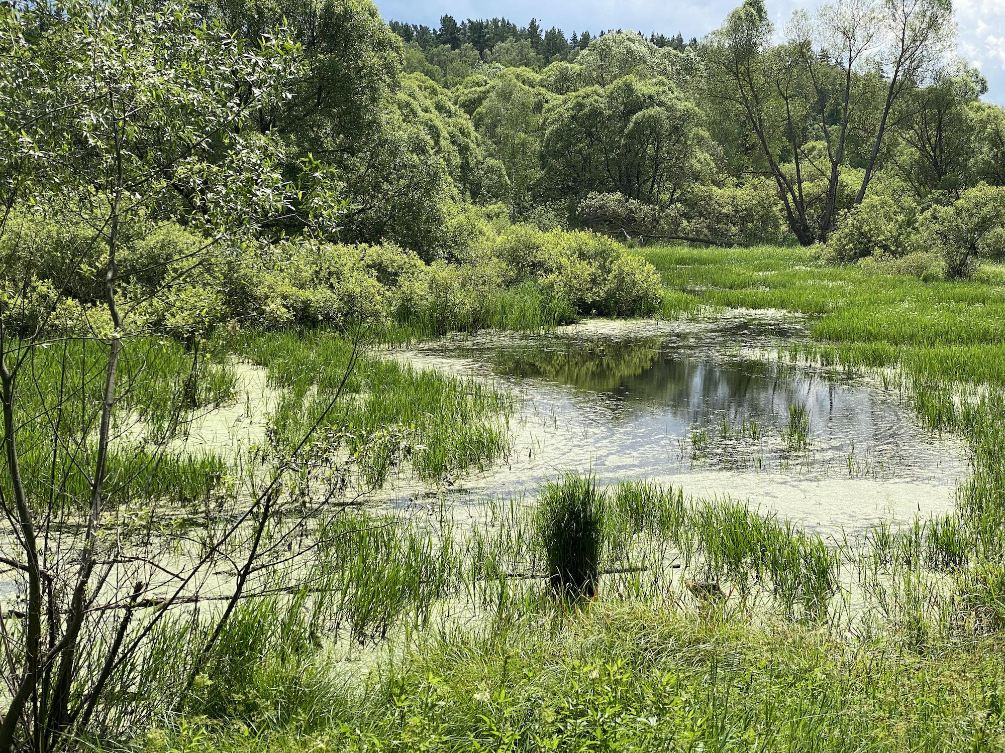 Фото Усадьба Ягодное
