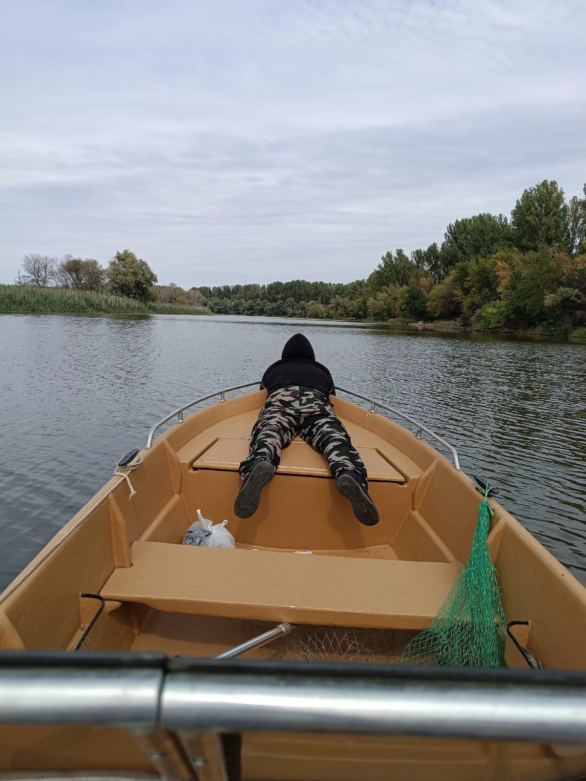 Фото Белый лев