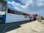 Avtoreal (Dzerzhinsky Street, 132), tire service