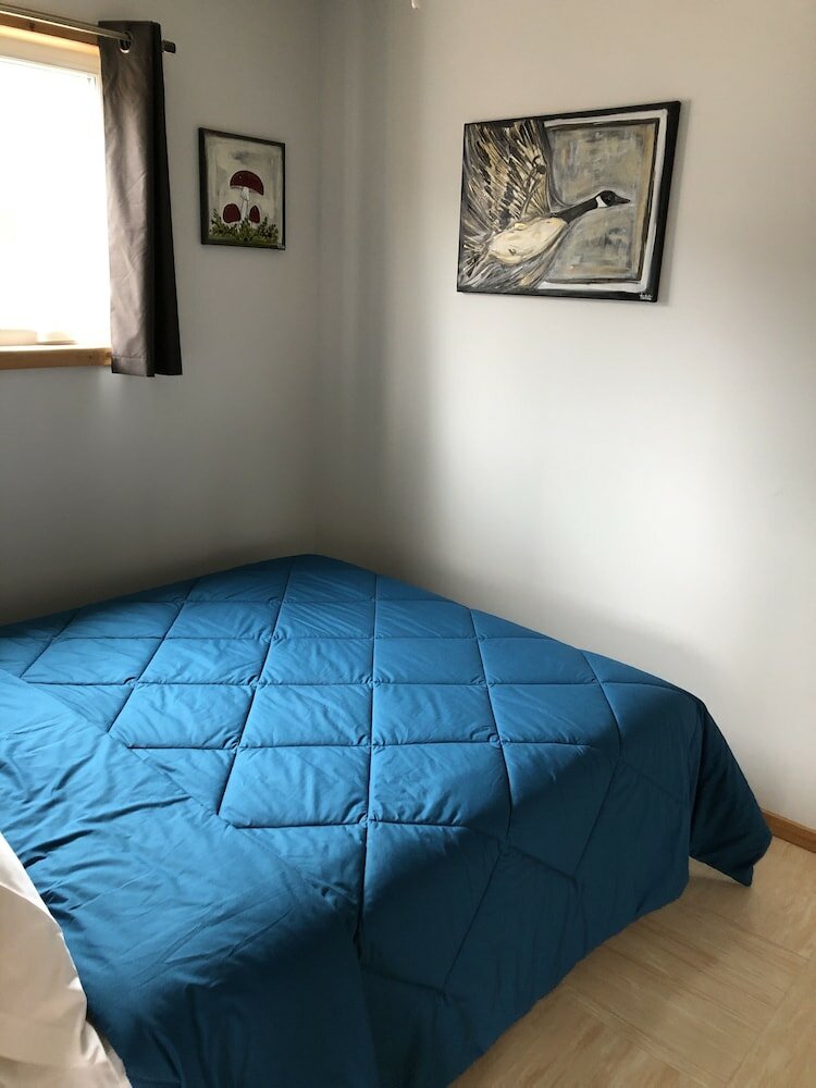 Фото Les chanterelles de Forillon