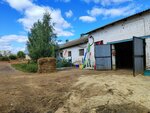 Пегас (Lenina Street, 104), horse riding
