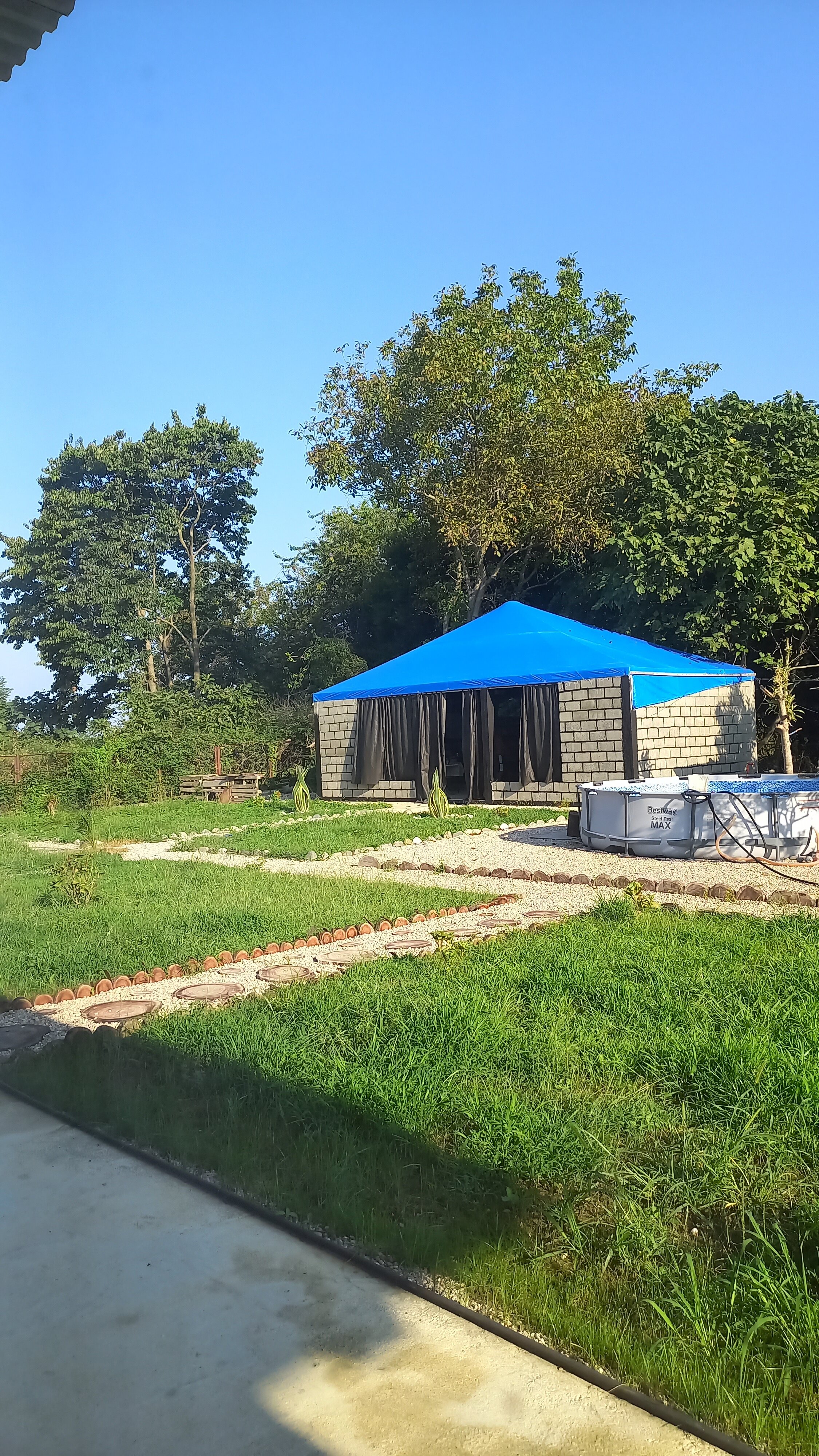 Фото Манушак