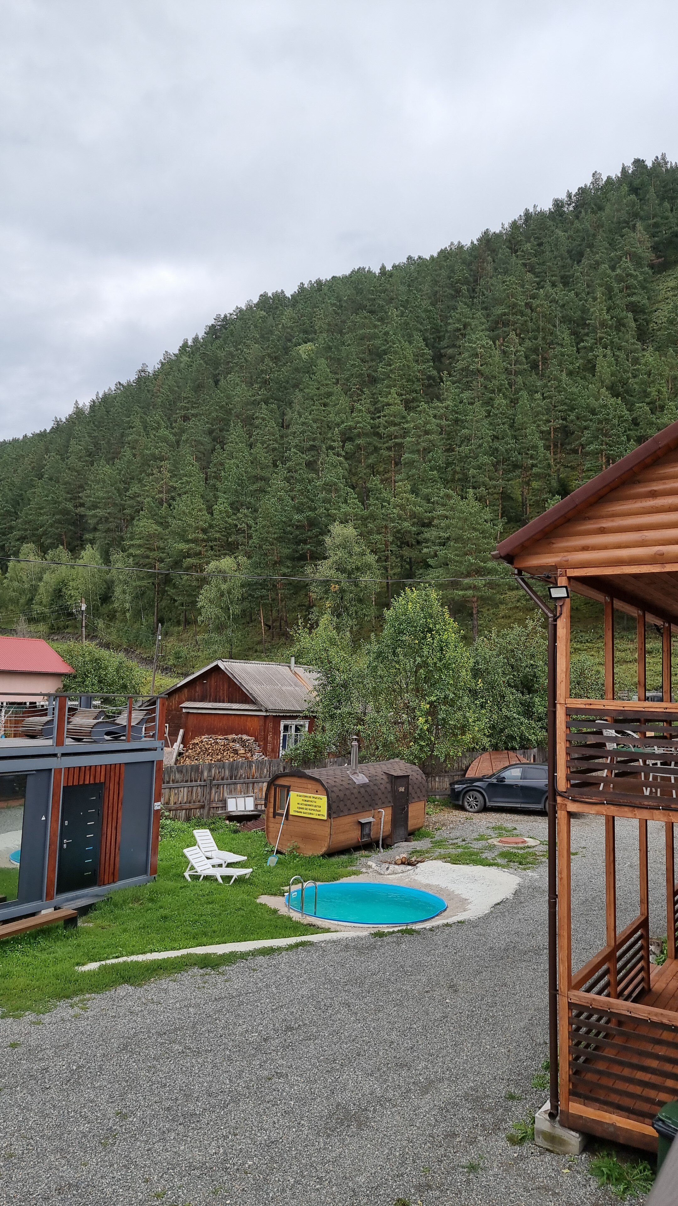 Фото Алтайские звездочки