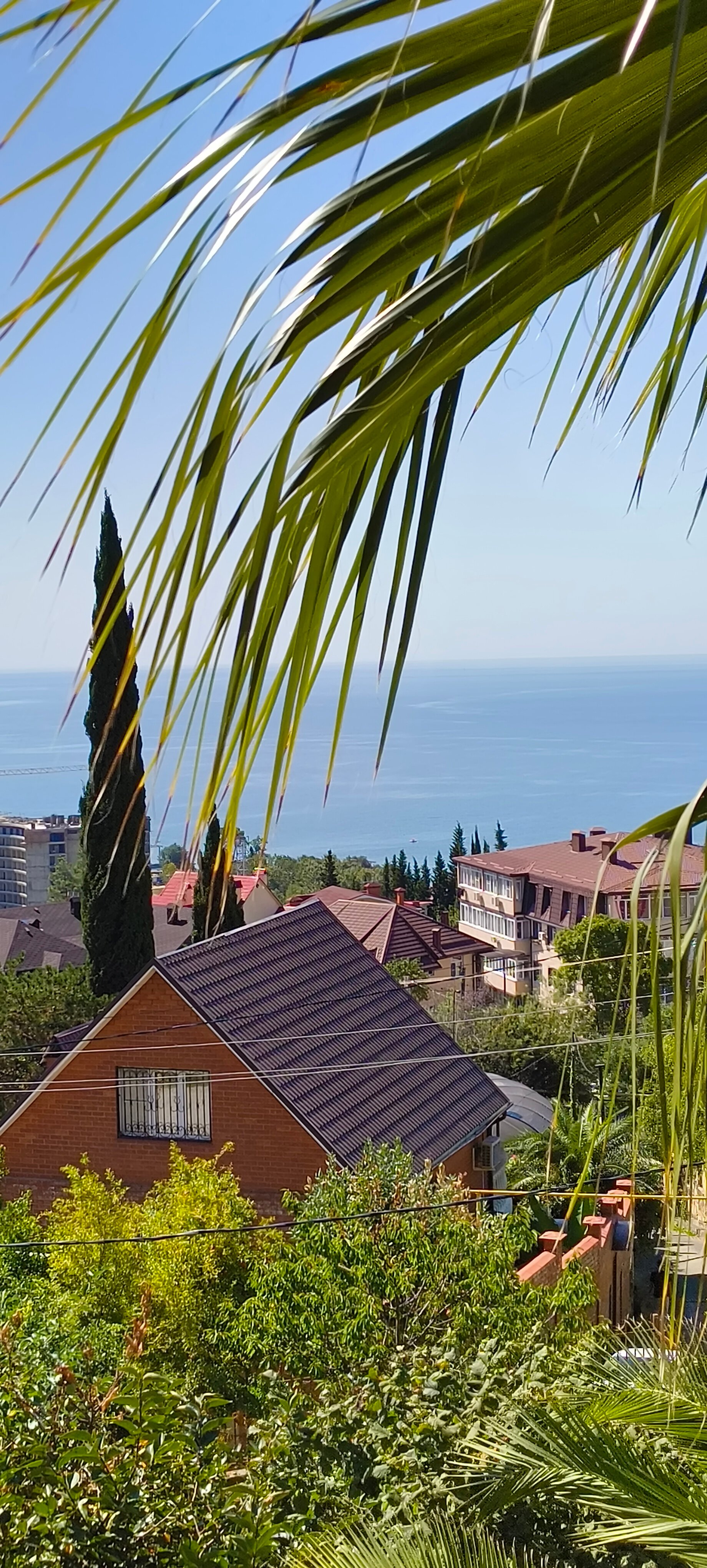 Фото Династия