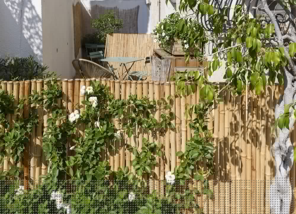 Фото Hotel & Studios Astor