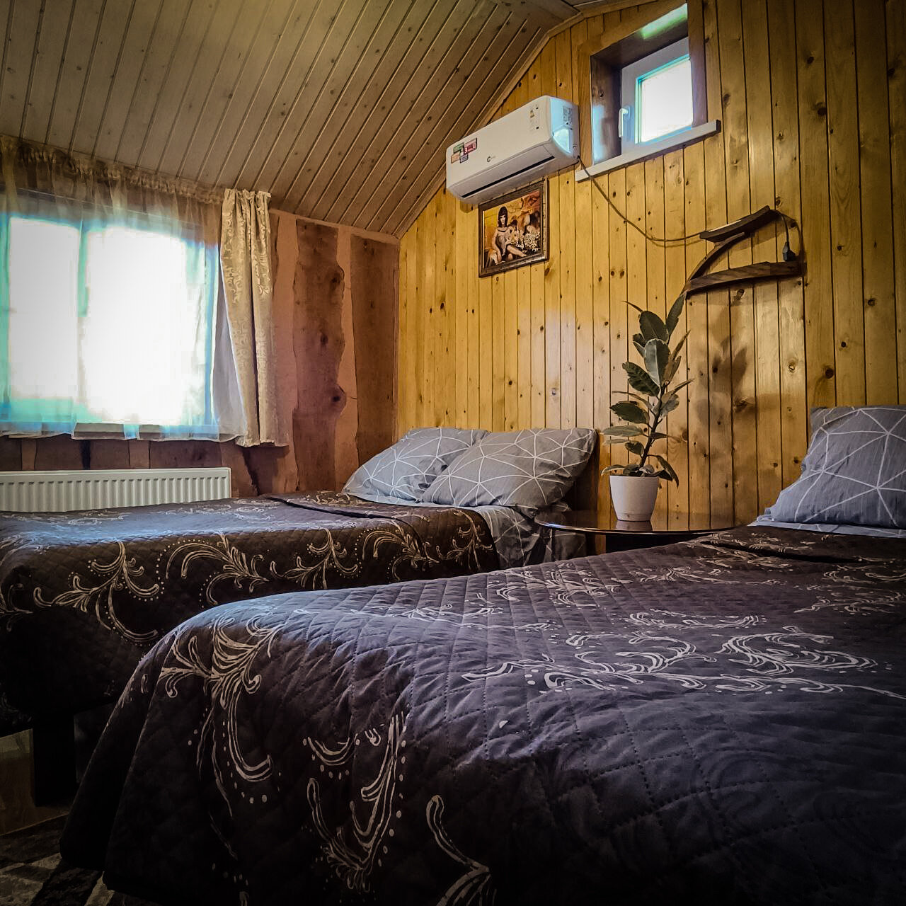 Фото Горная Роза