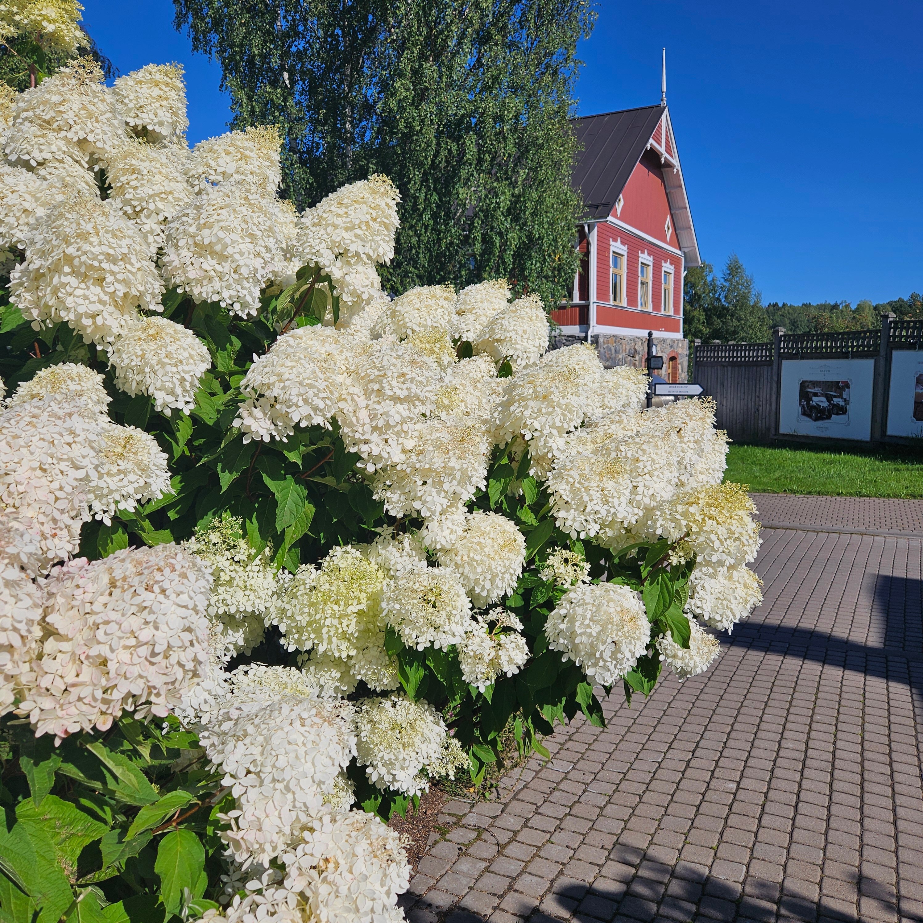 Фото Ладожская усадьба
