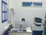 Pegas Touristik (Leninsky Avenue, 123В), travel agency