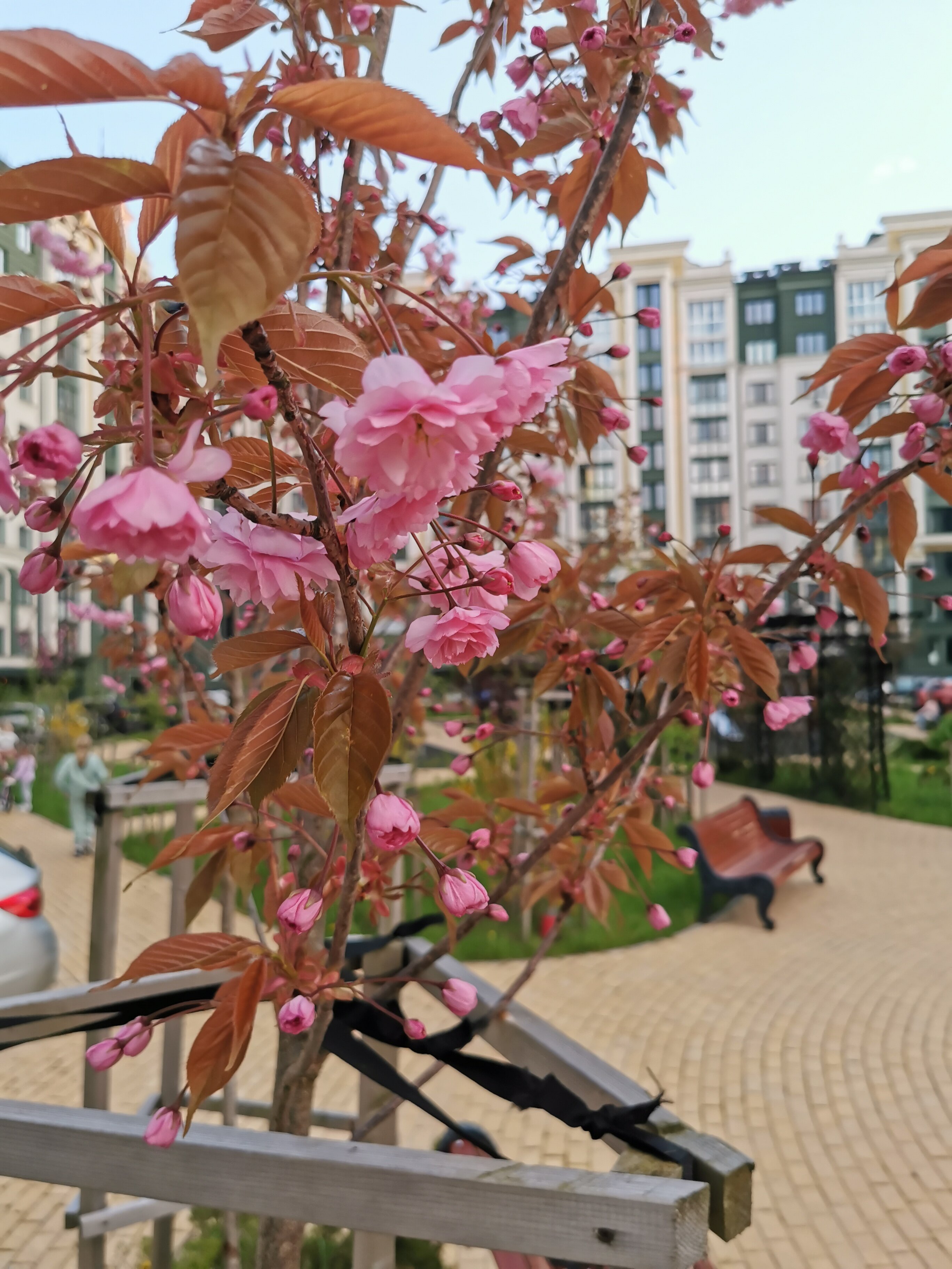 Фото Schwendlund Apartments