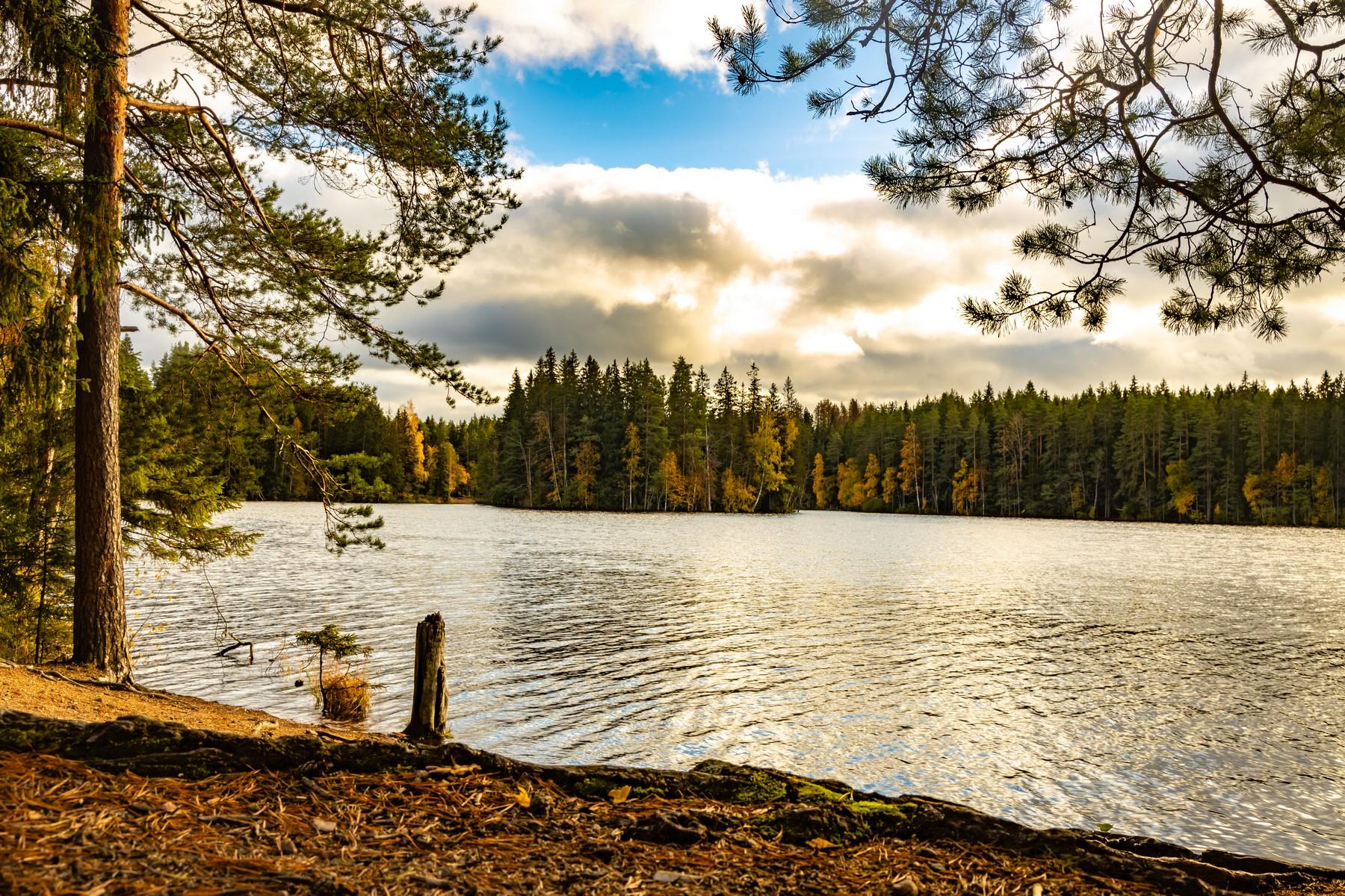 Фото Лавалла Хутор