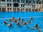 Federation of water Polo and mini water Polo of the Moscow region (bulvar Marshala Krylova, 20), sports club