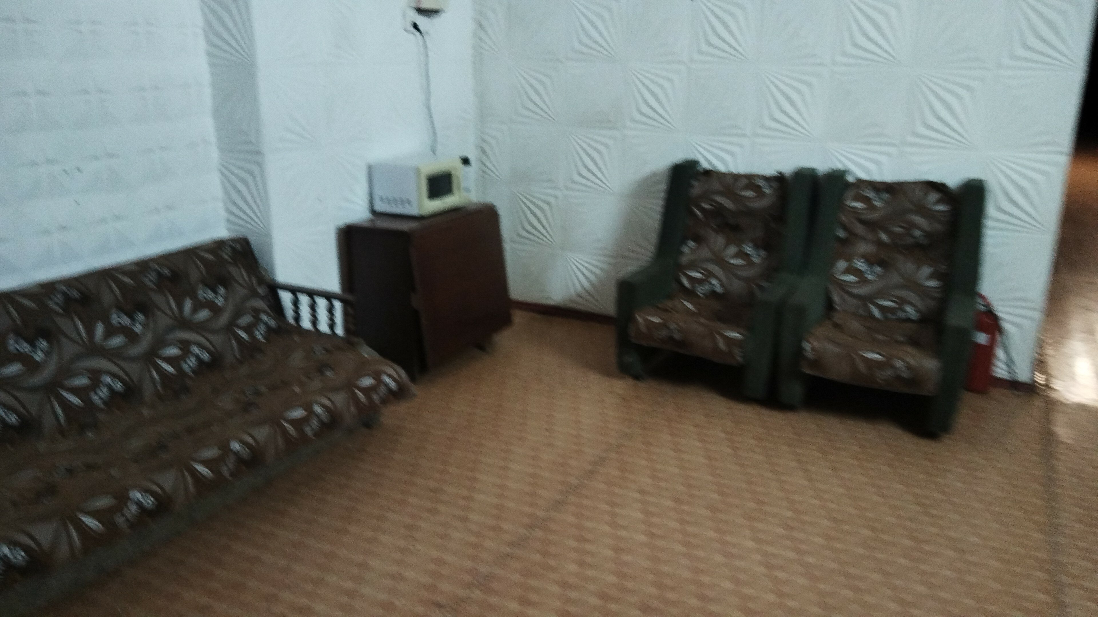 Фото Лазоревая