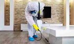 Eco Guardian Pest Control & Cleaning Services (22, 23B Street, Naif, Deira, Dubai), disinfection, disinsection, deratization