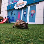 Pusula Anaokulu (Ankara Province, Yenimahalle, Erol Kaya Cad., 6A), jardín de infancia, guardería