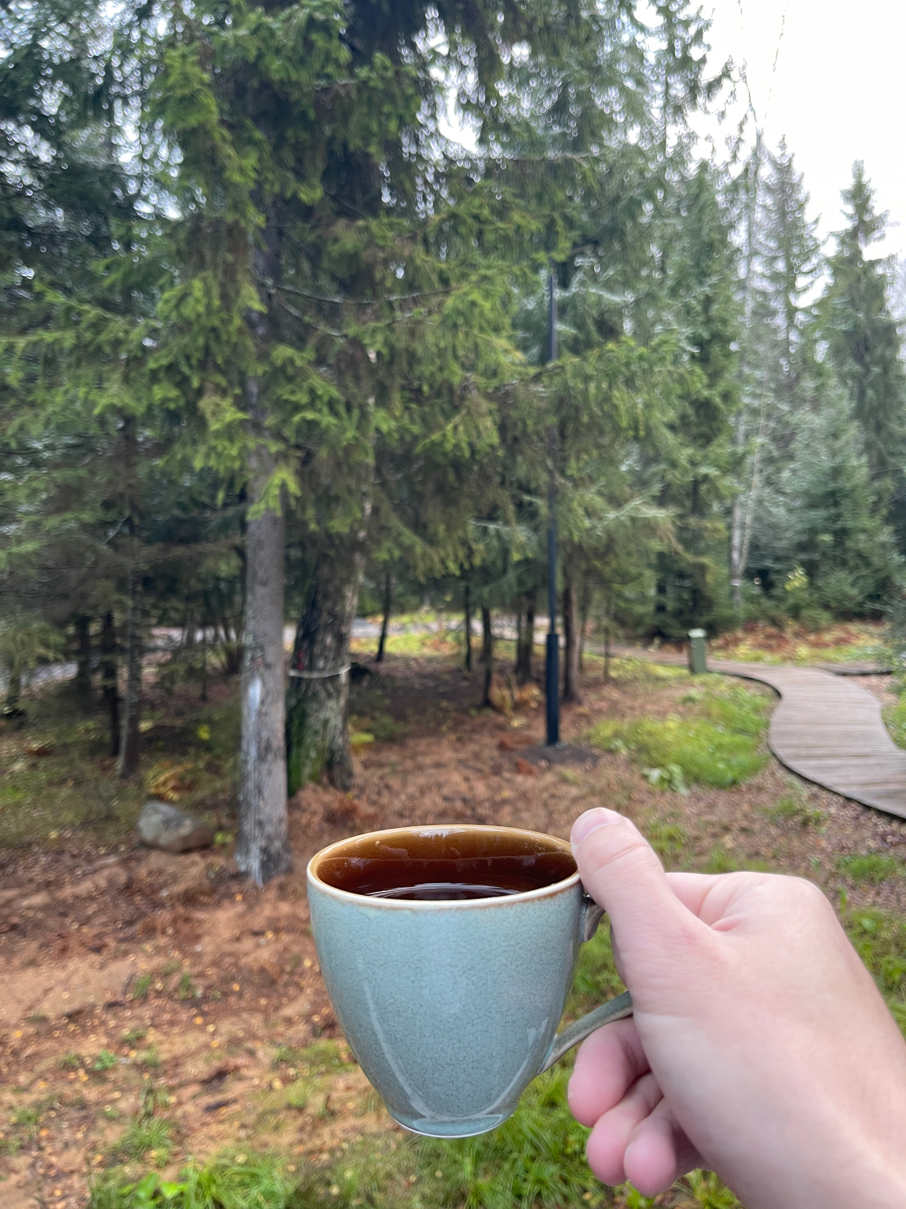 Фото Нешалаши