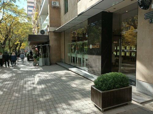 L'Orange Gold Fotoğraf 5