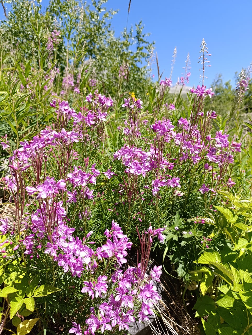 Фото Гостиница Алибек