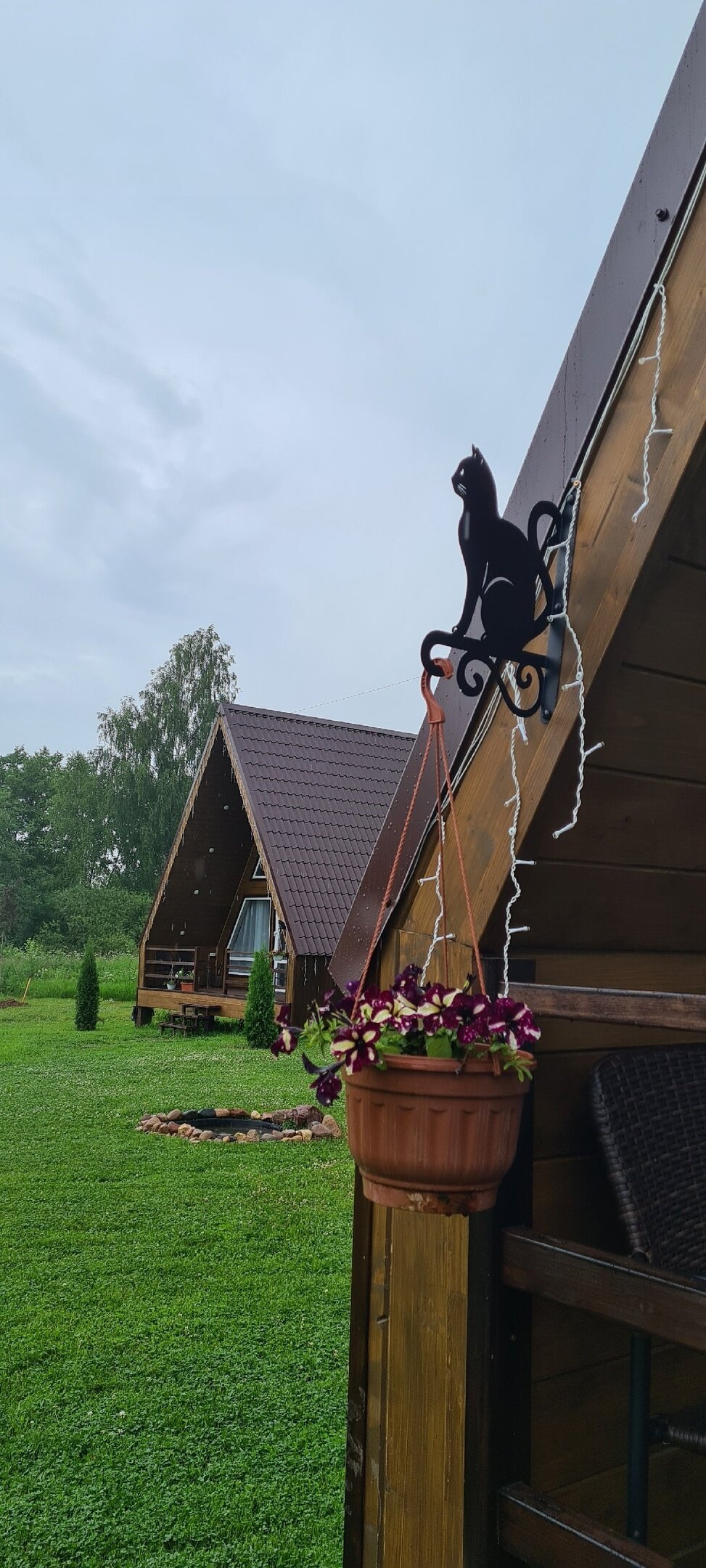 Фото Волшебный лес