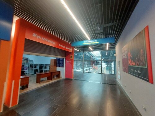 Ақ нәсілділерді азиаттықтар жейді