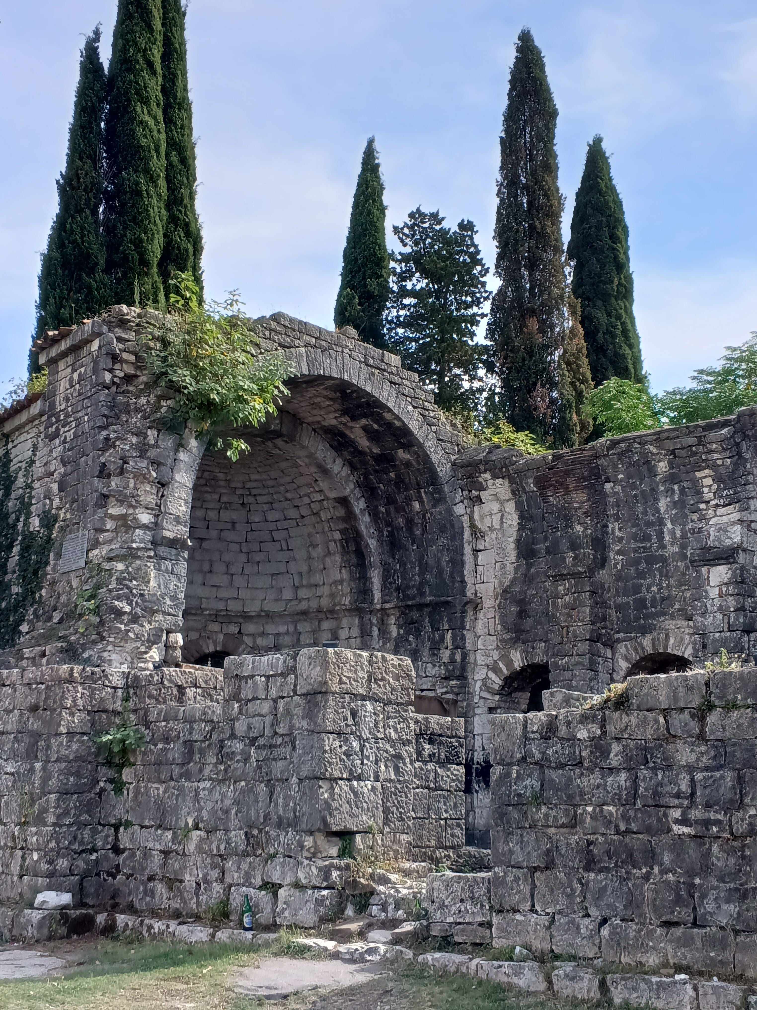 Фото Белая Панама