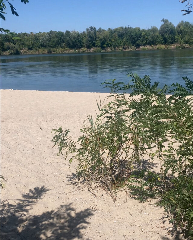 Фото Лукоморье