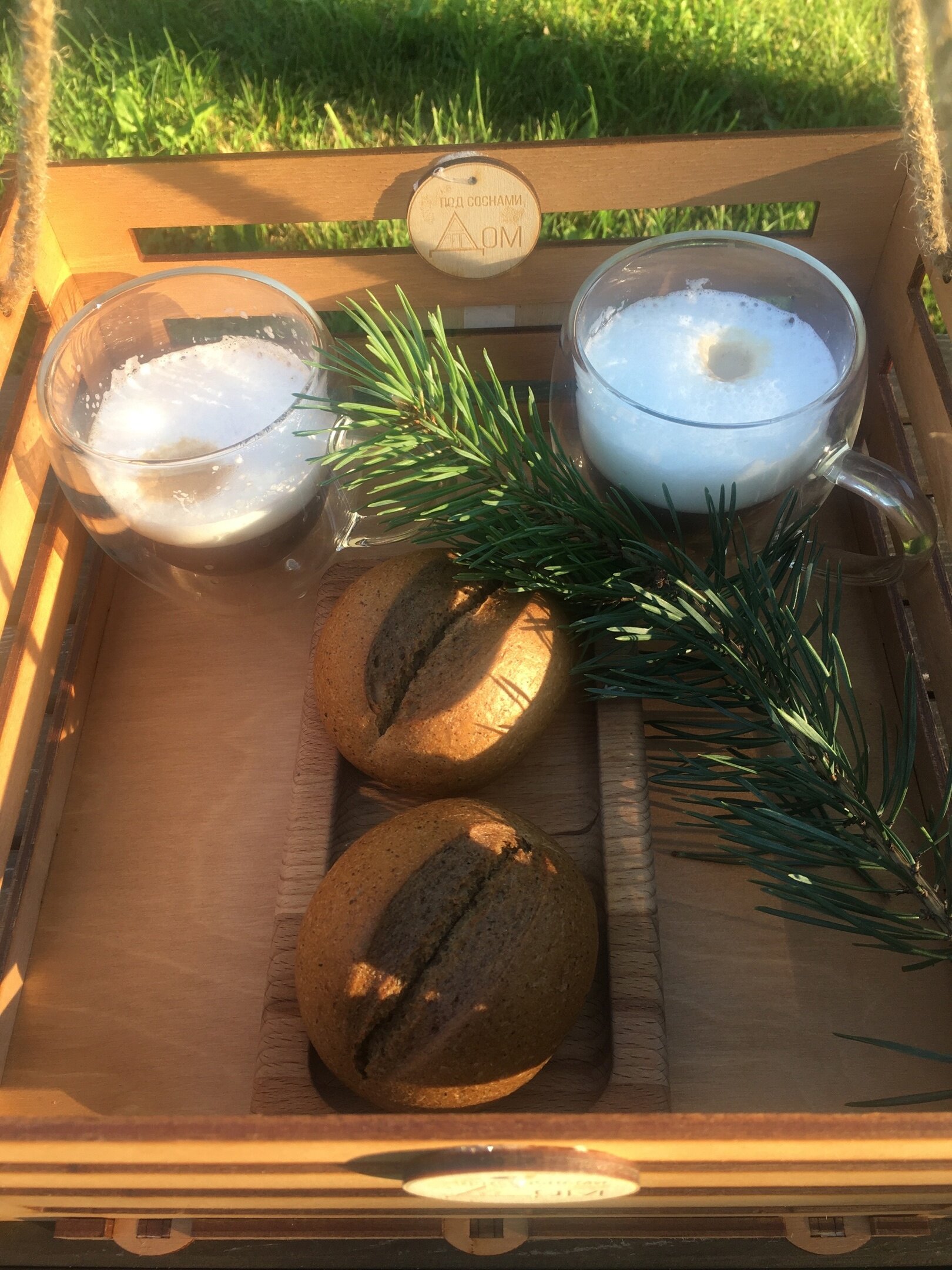 Фото Елки-палки