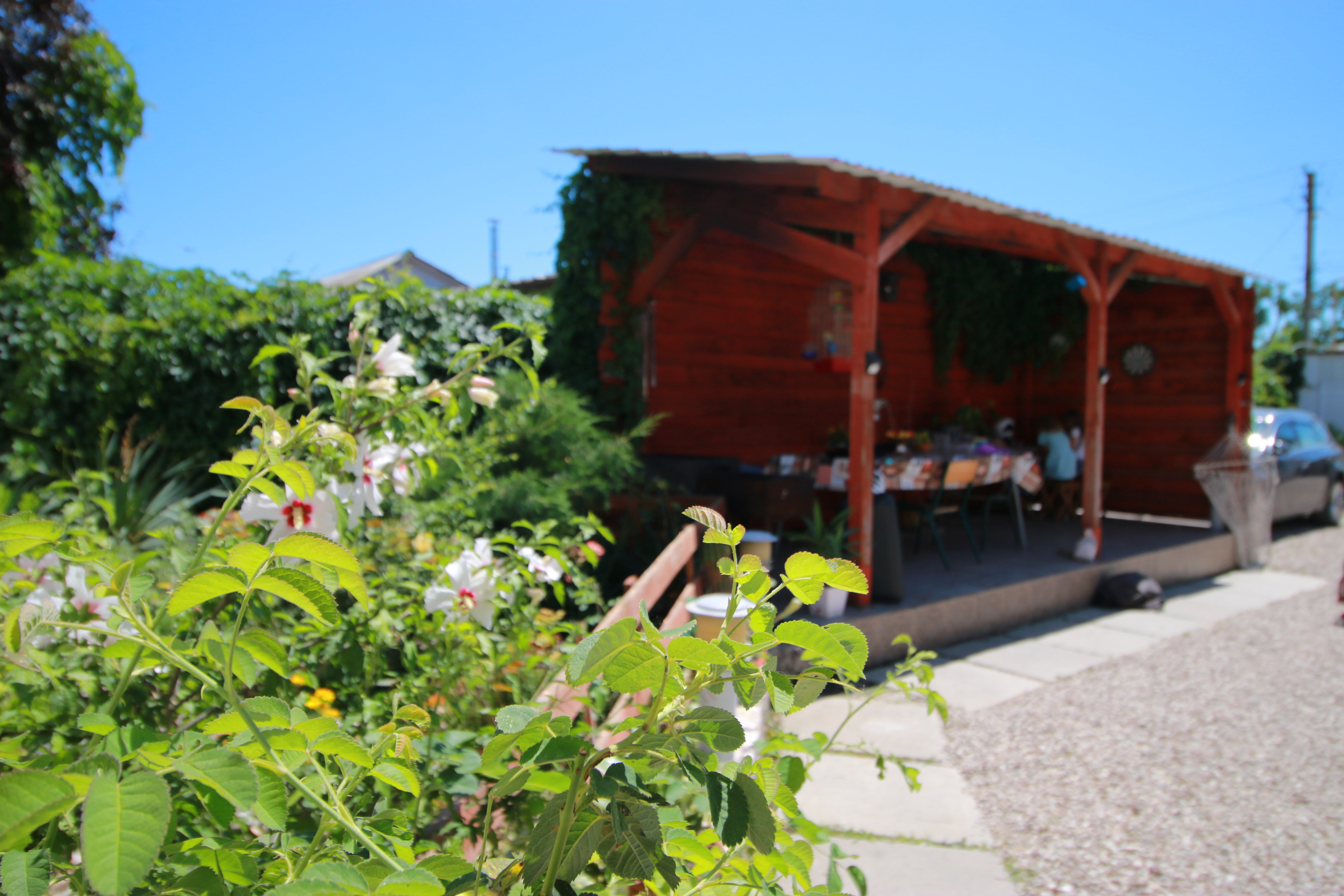 Фото Аннушка